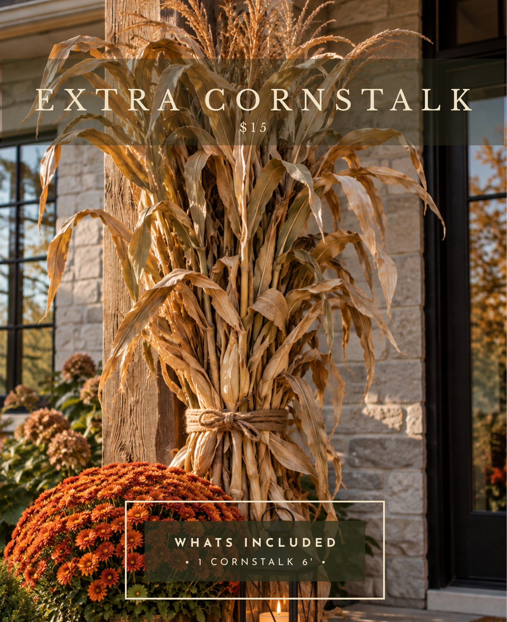 ExtraCornstalk_PKG.png