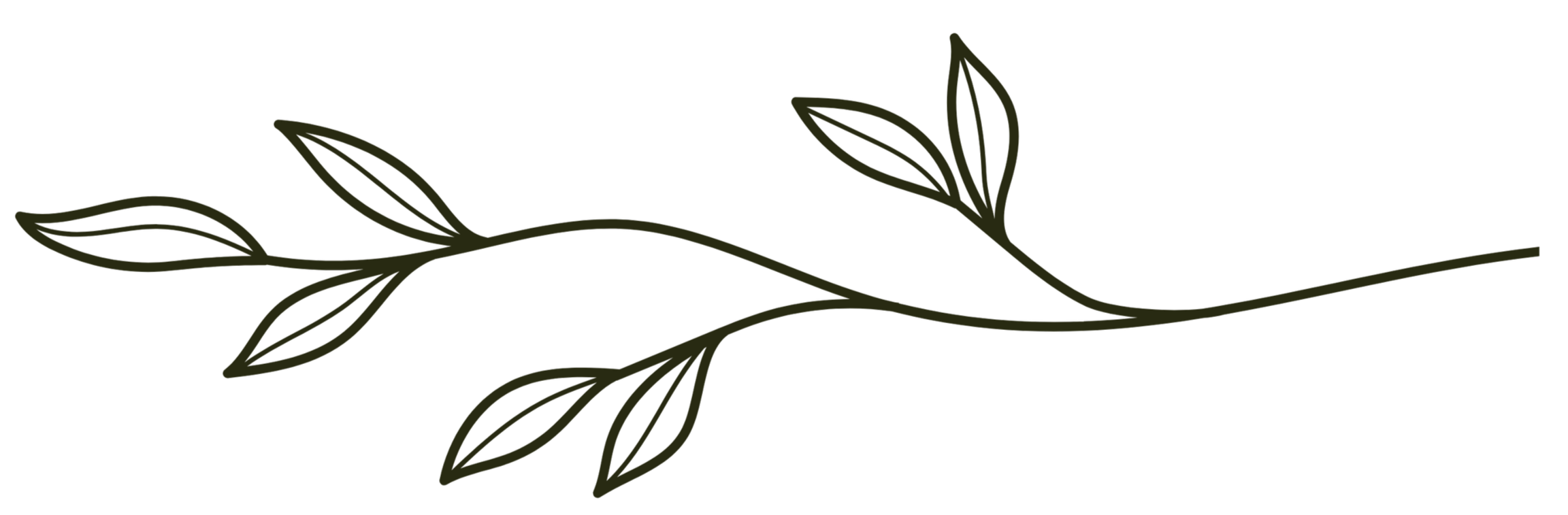 Minimalist olive branch outline with leaves