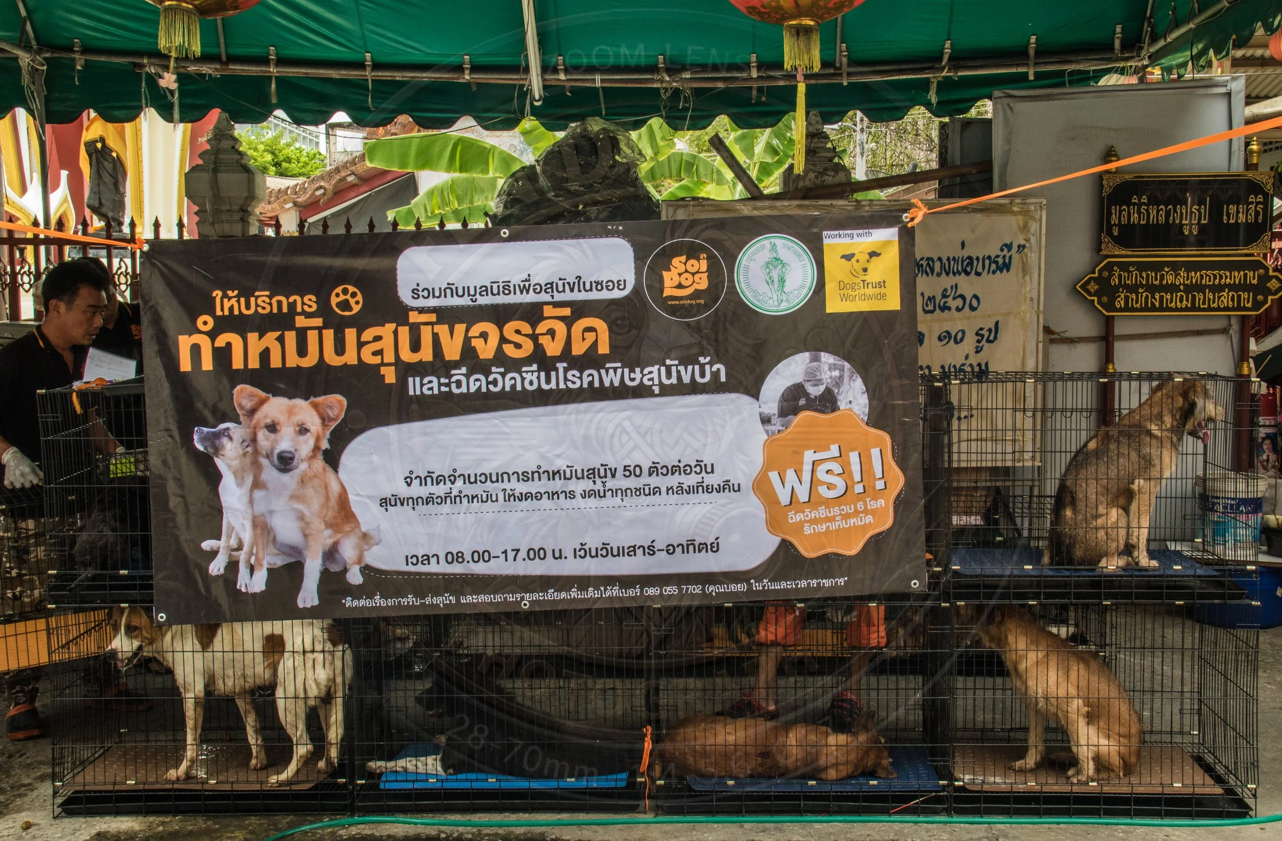 20180712-VI7A3816.jpg