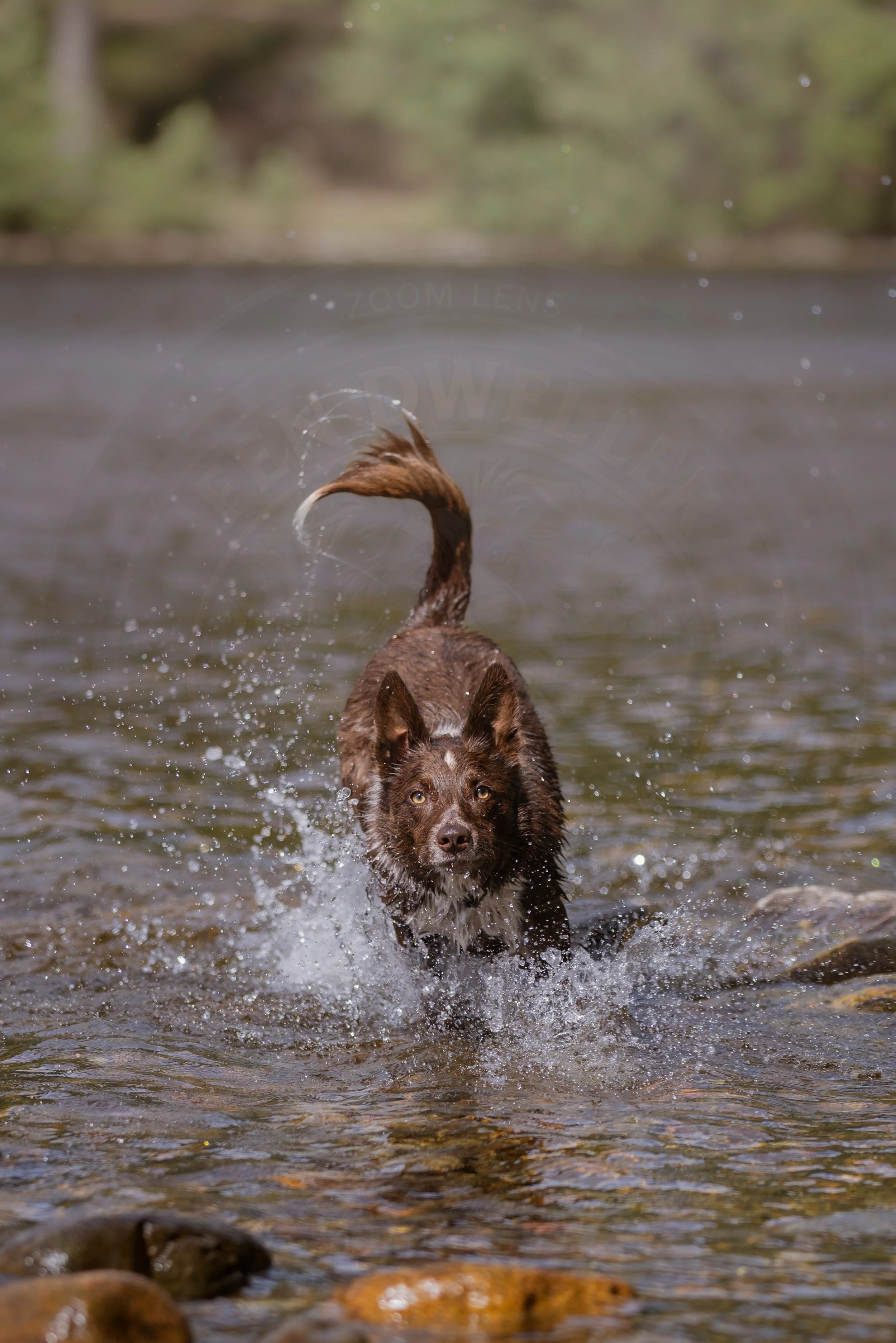 River Run