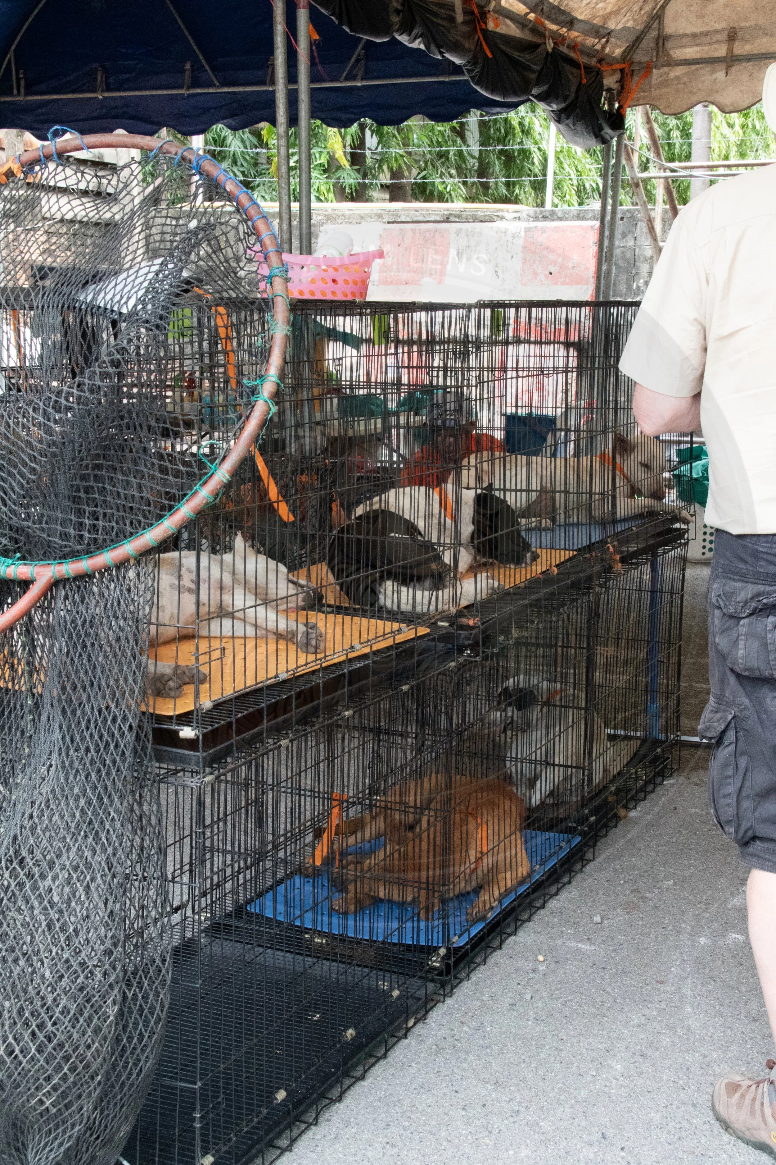 20180711-VI7A3487.jpg