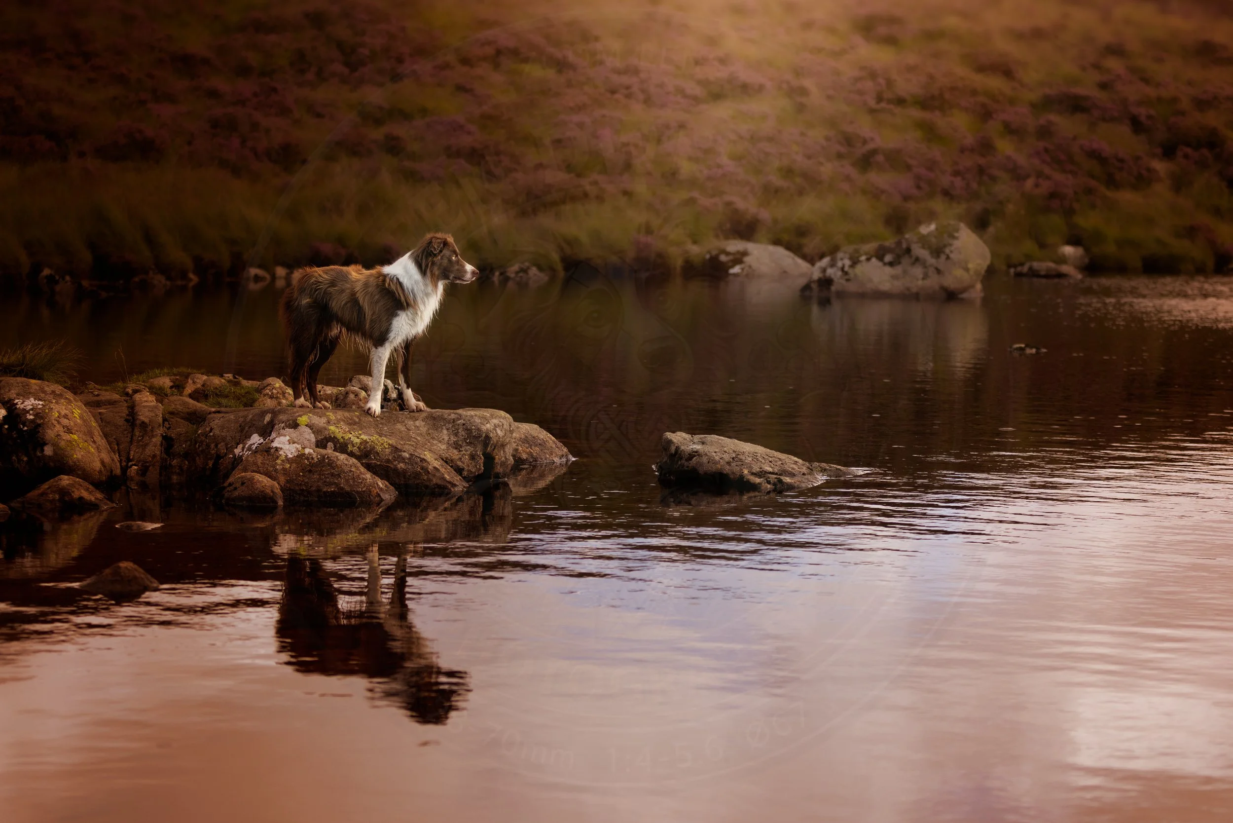 Loch Doon