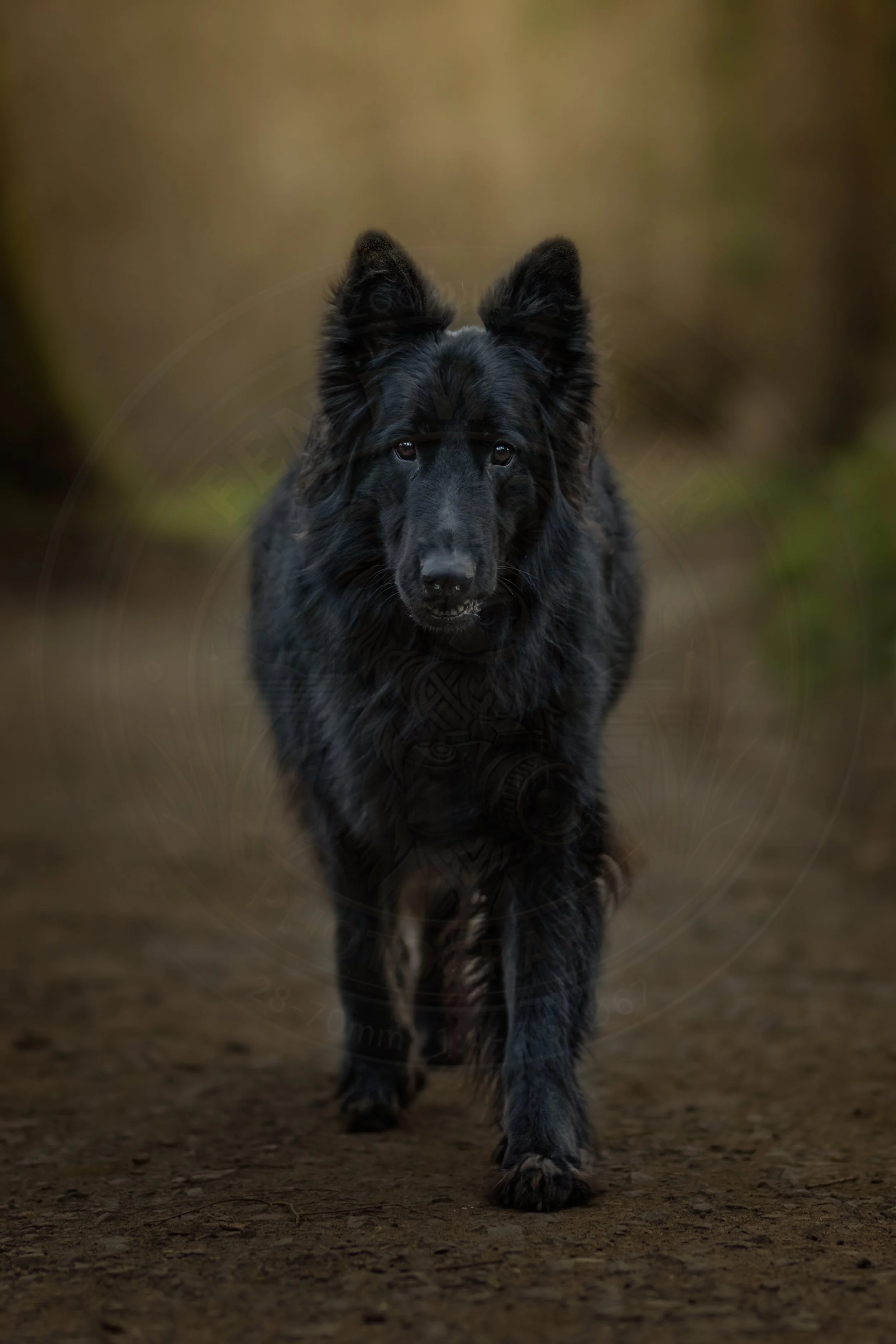 GSD