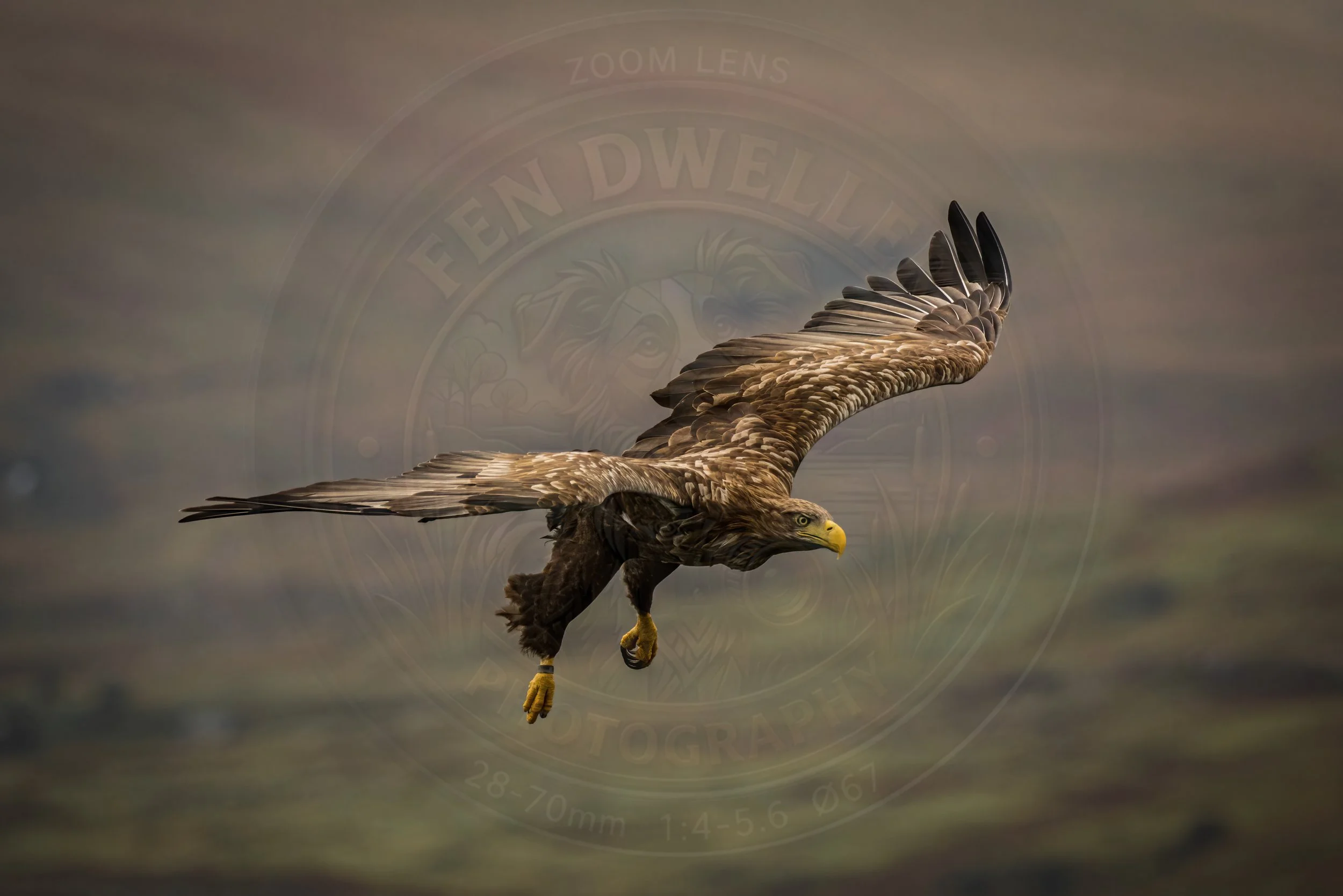 20180914-VI7A8057-Edit.jpg