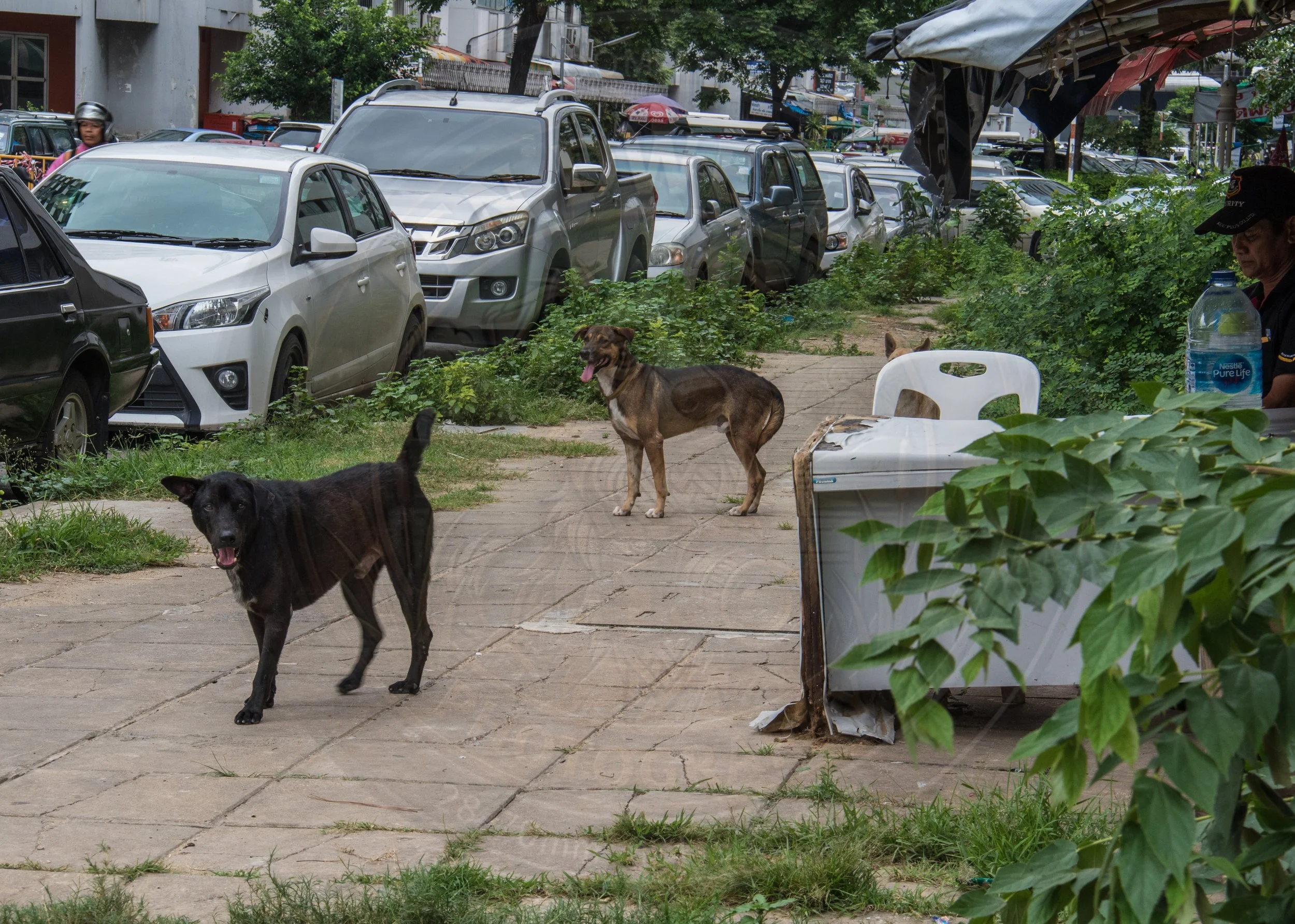 20180710-VI7A3088.jpg
