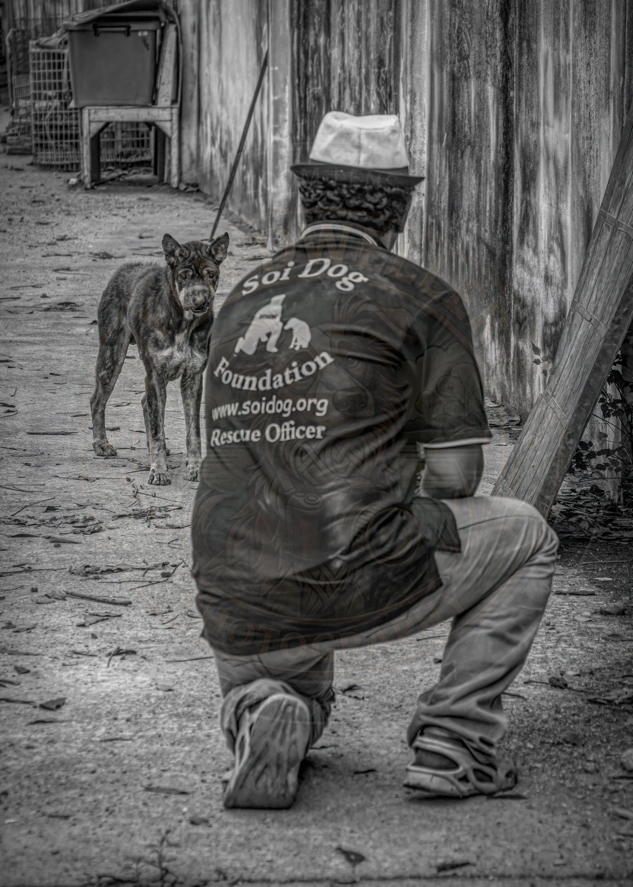 20180710-VI7A3042-Edit-Edit.jpg
