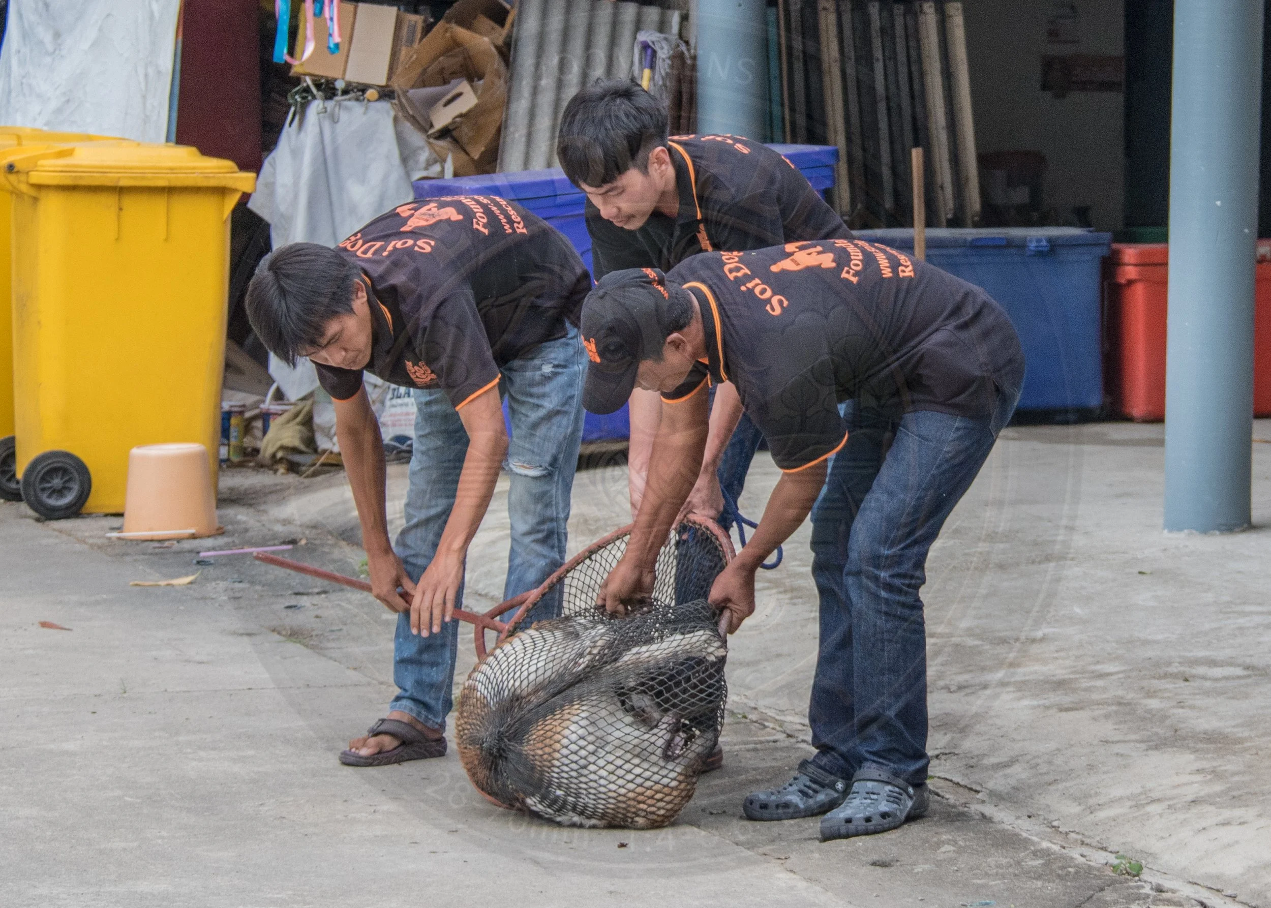20180712-VI7A3563.jpg
