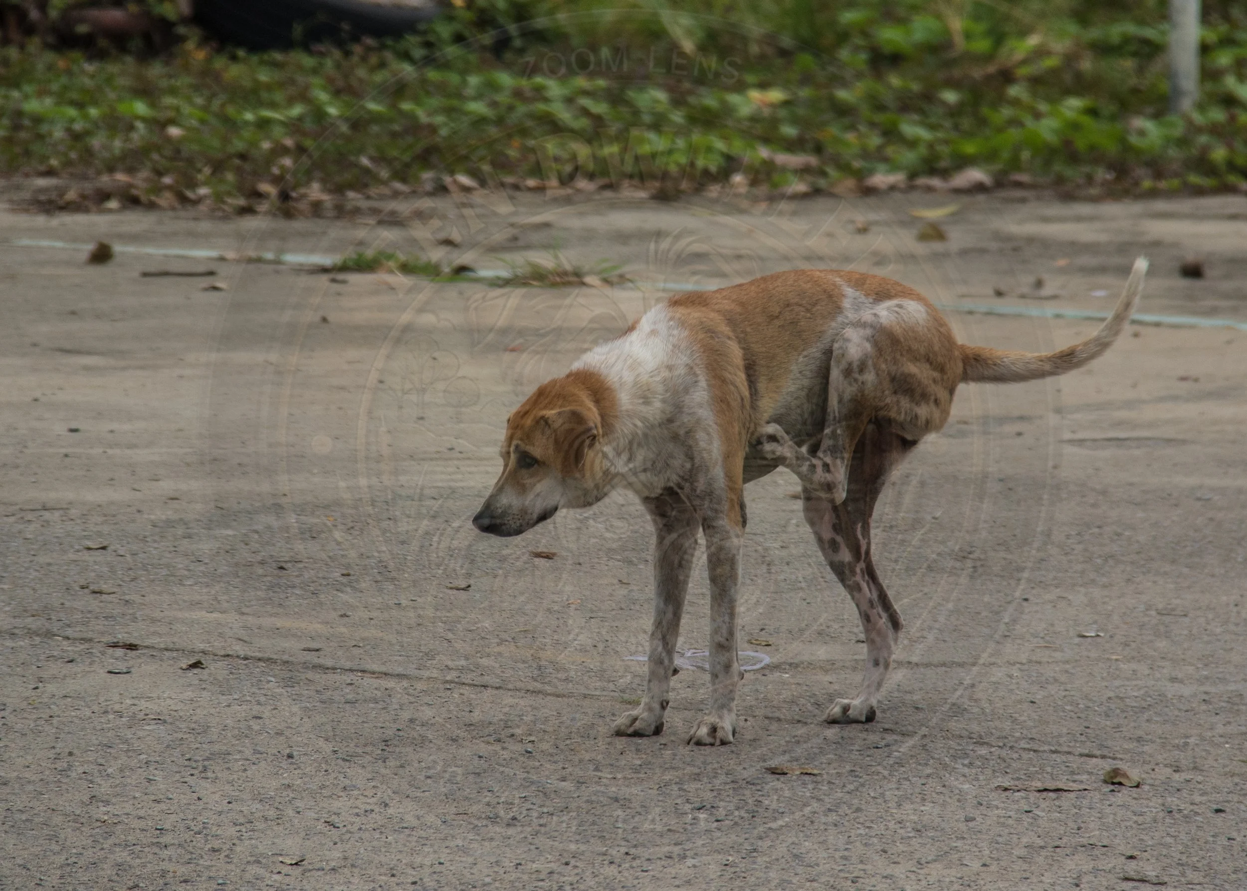 20180712-VI7A3726.jpg