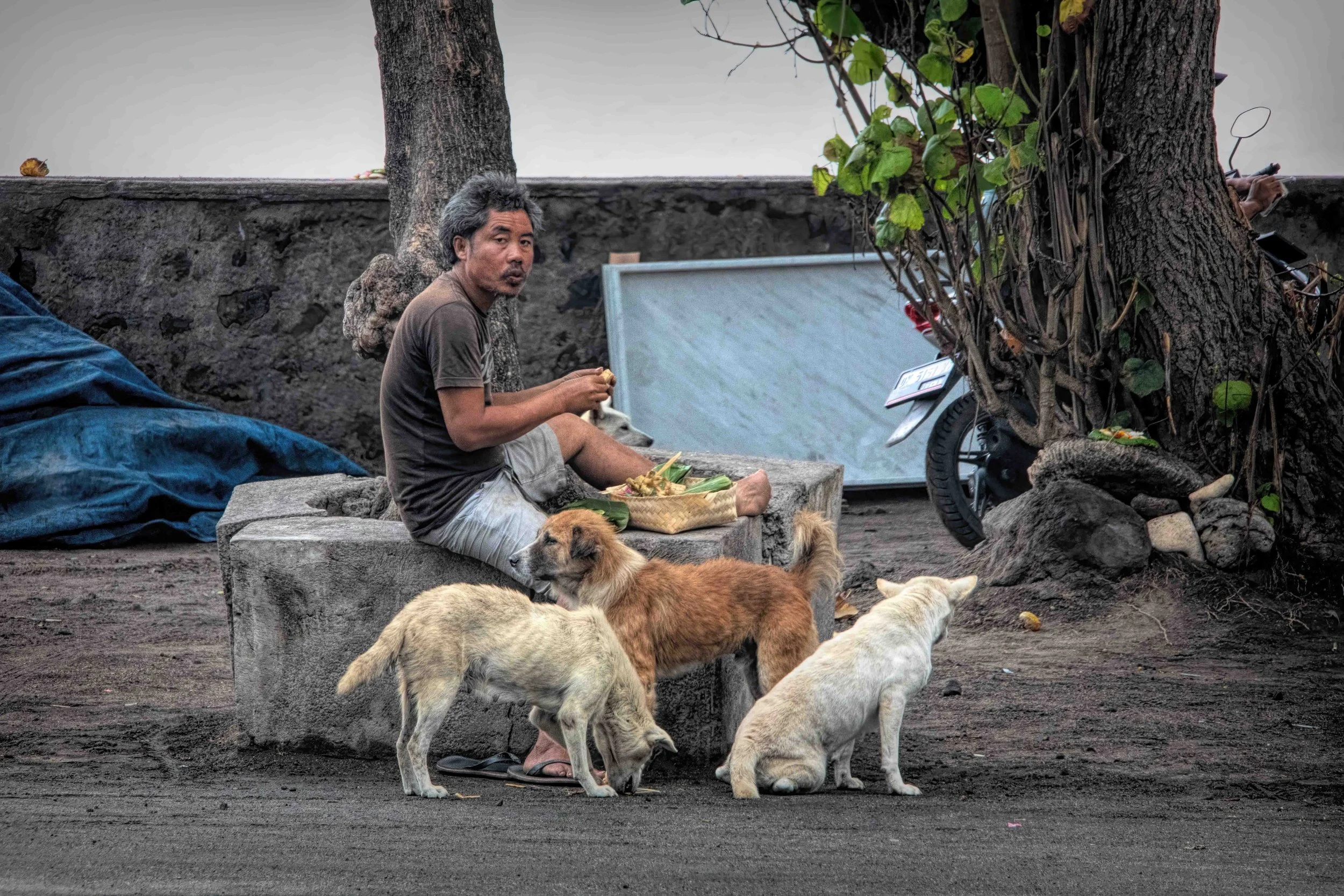 Sharing Lunch, Bali