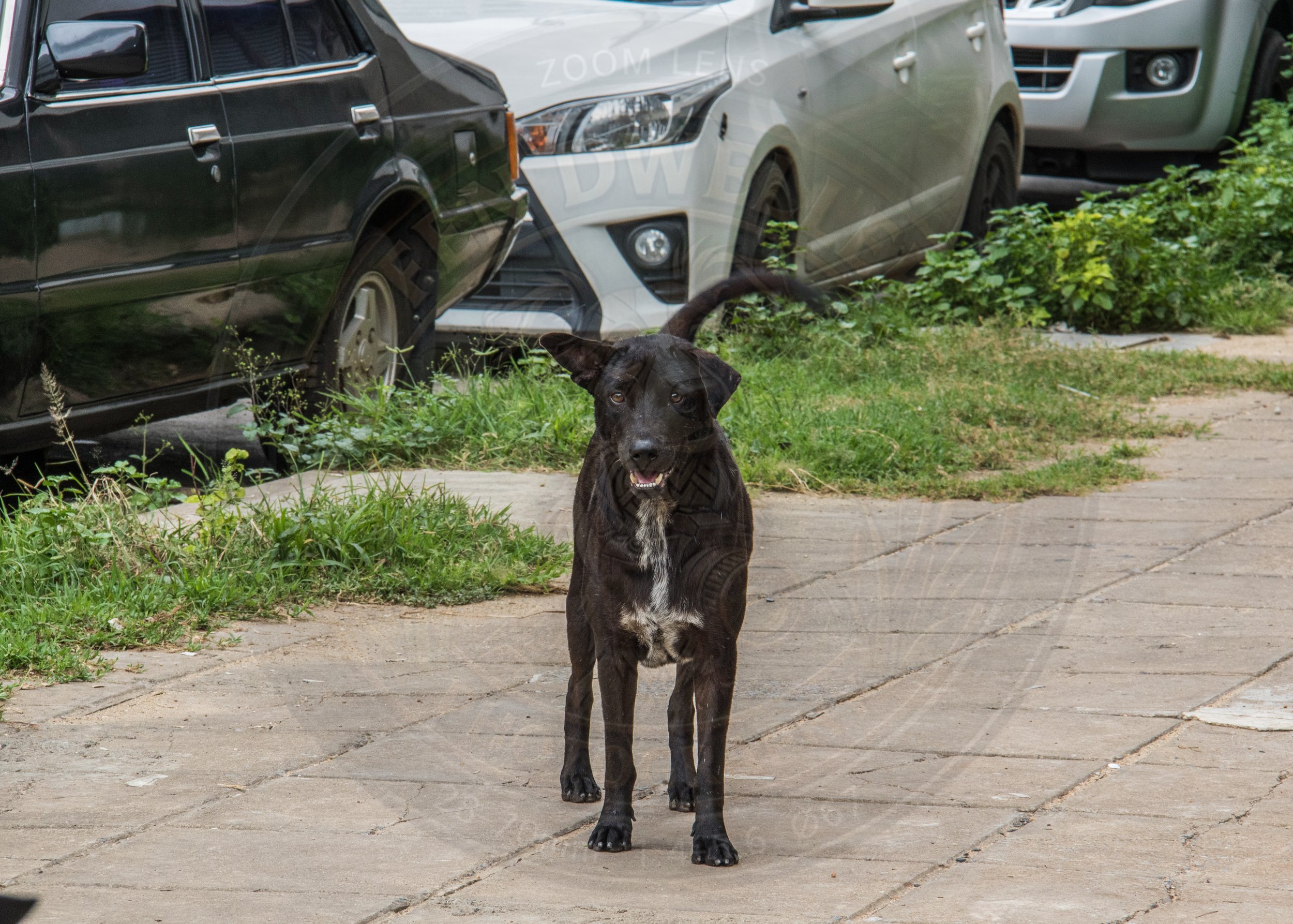20180710-VI7A3082.jpg