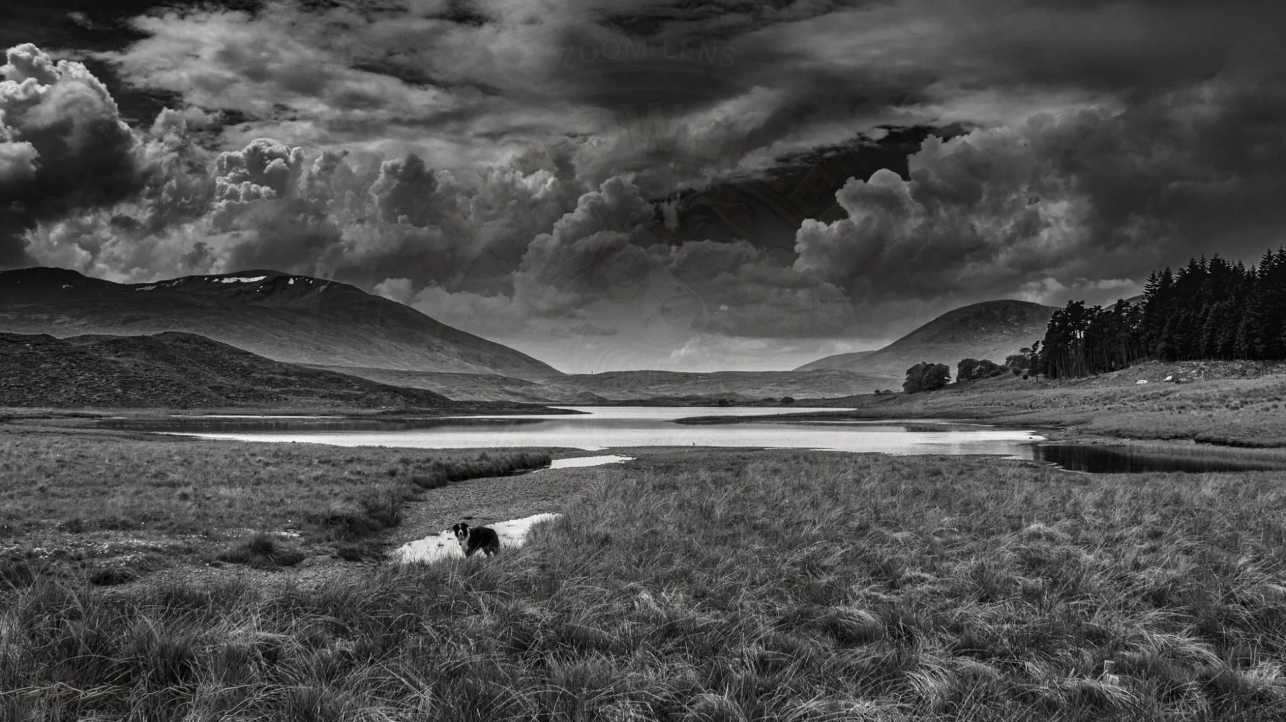 Storm Clouds