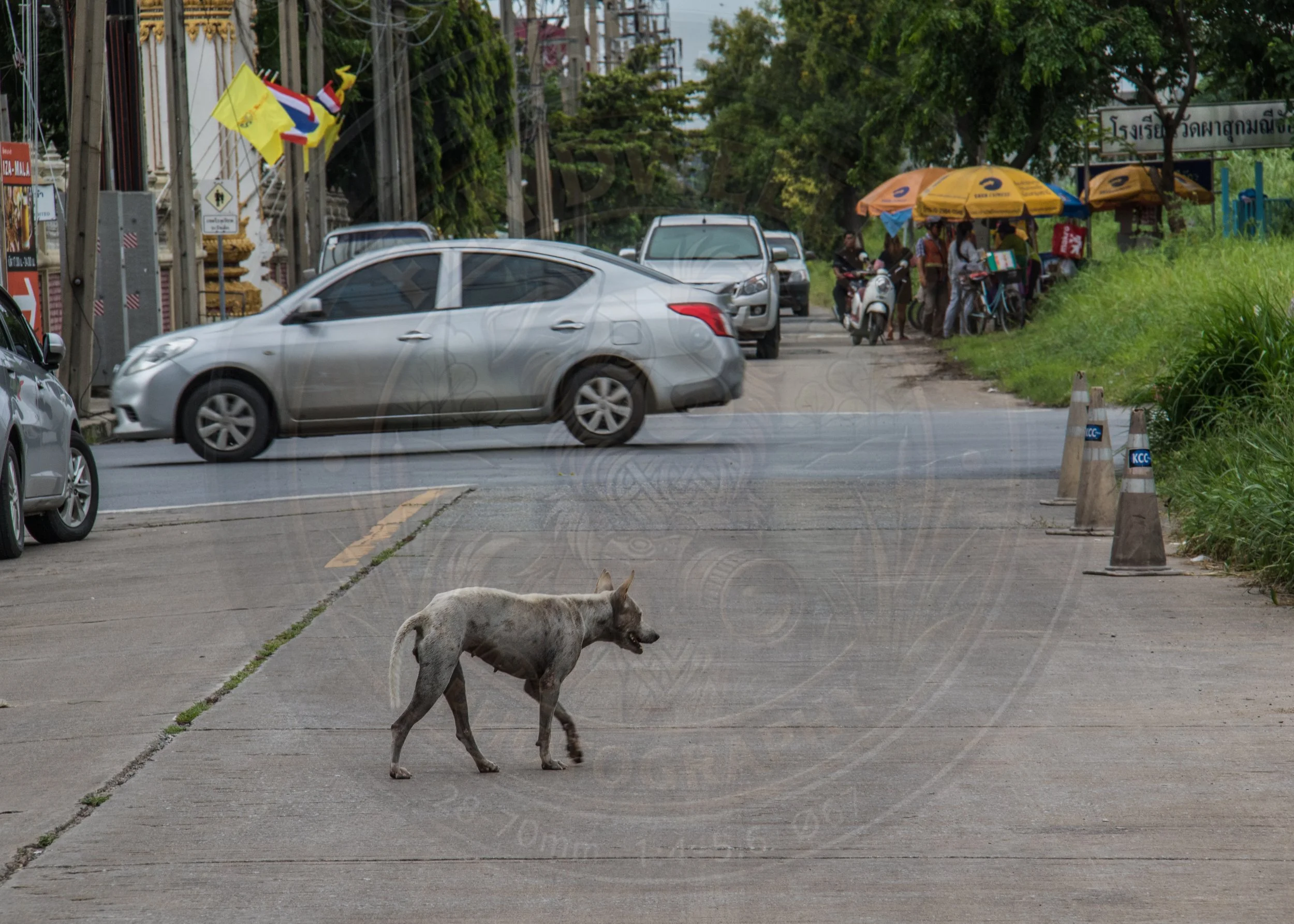 20180710-VI7A3161.jpg