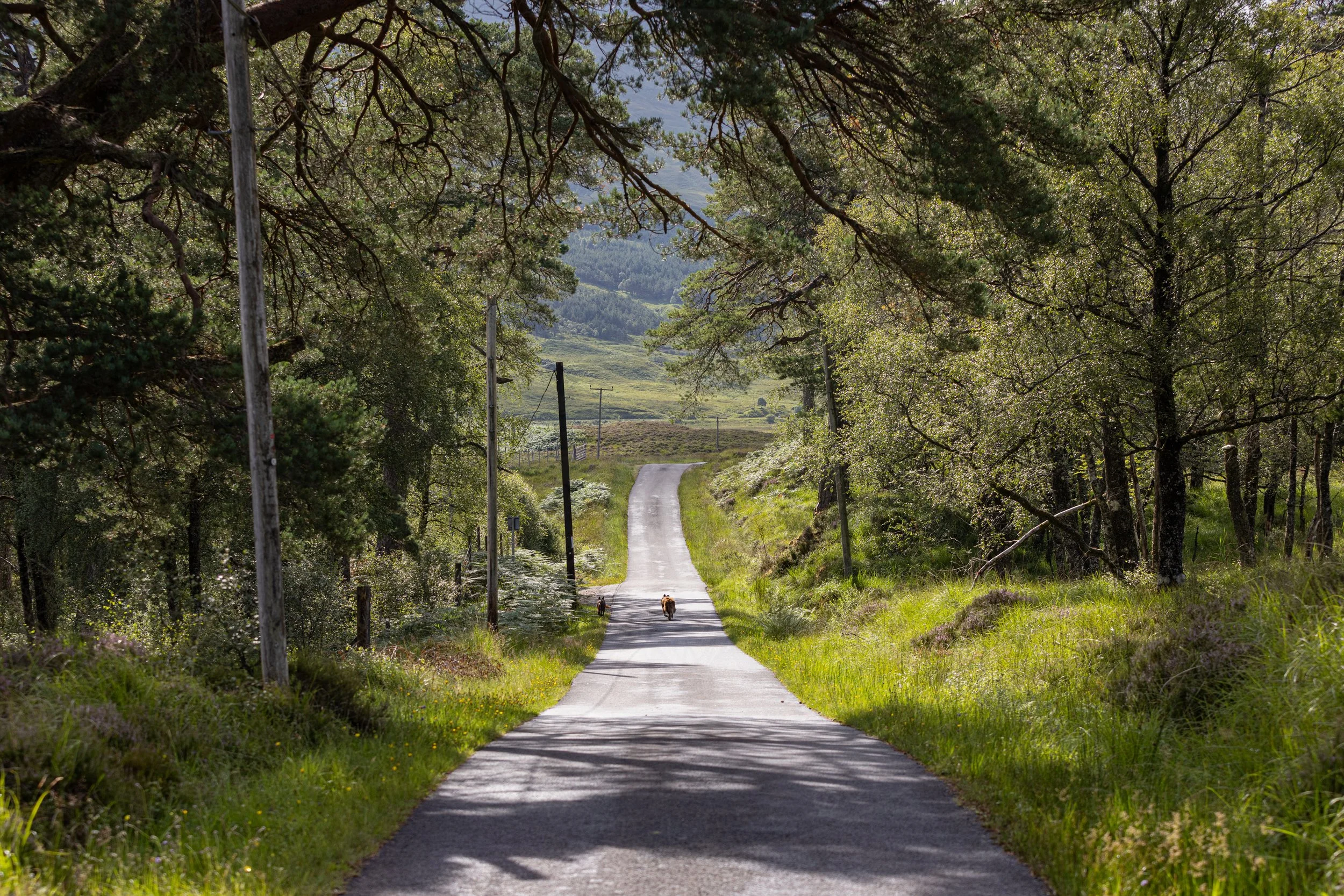 Road Walk, Bridge of Orchy