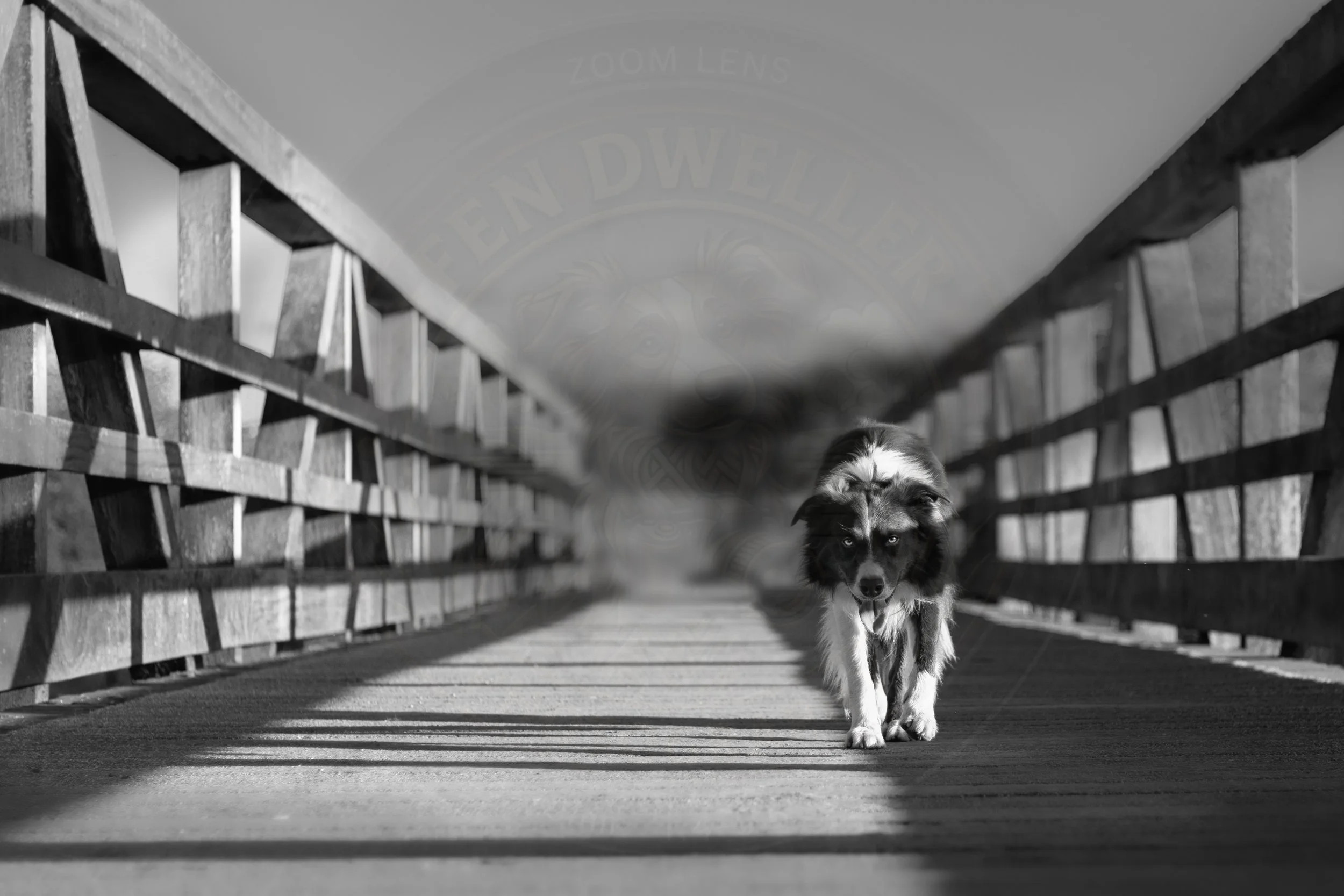 Walk the Line