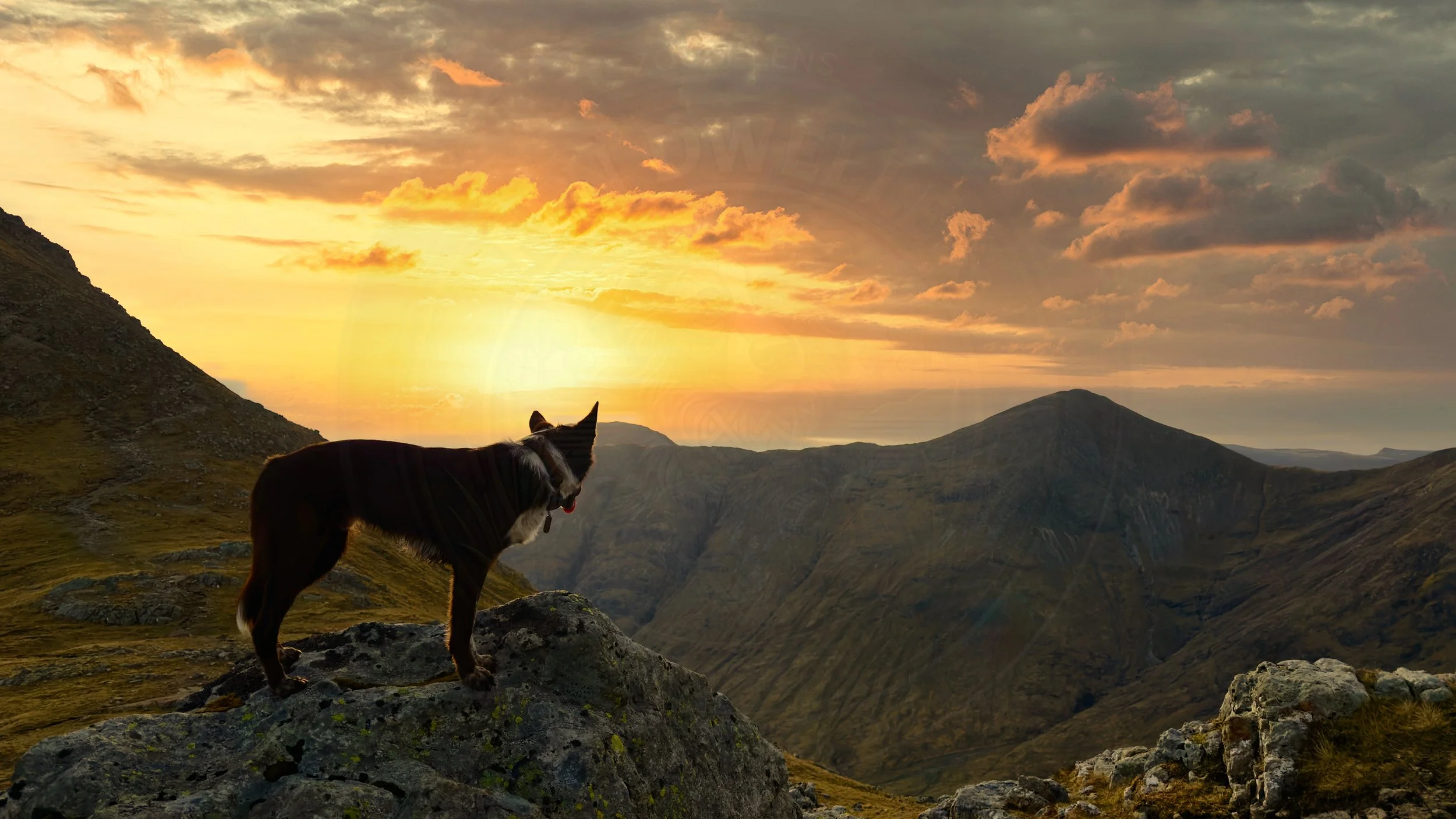 Hill Sunrise.jpg