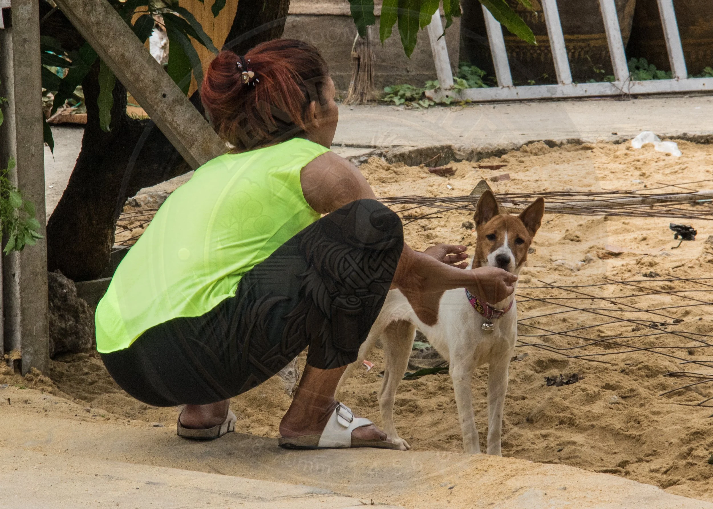 20180712-VI7A3774.jpg