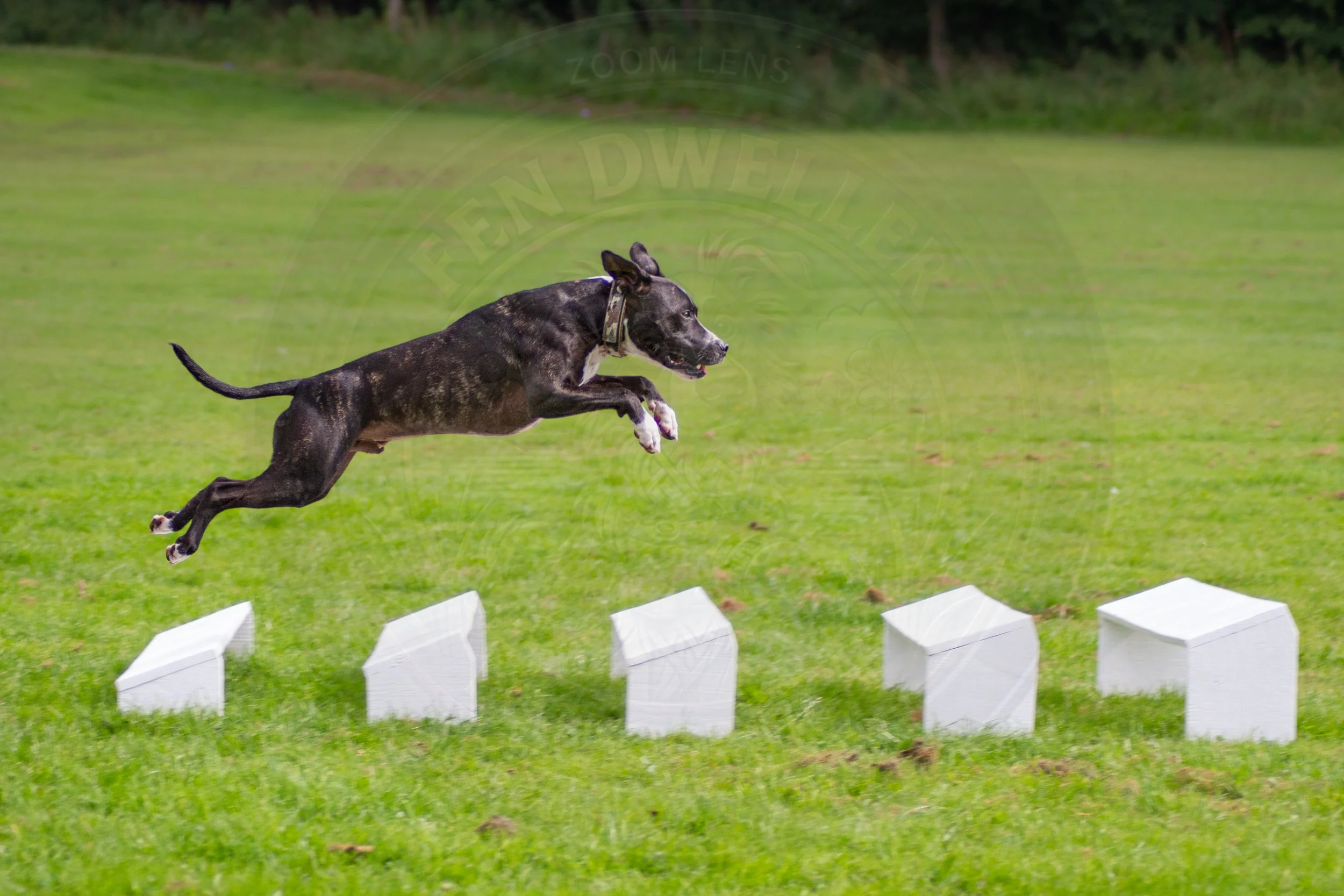 Long Jump.jpg