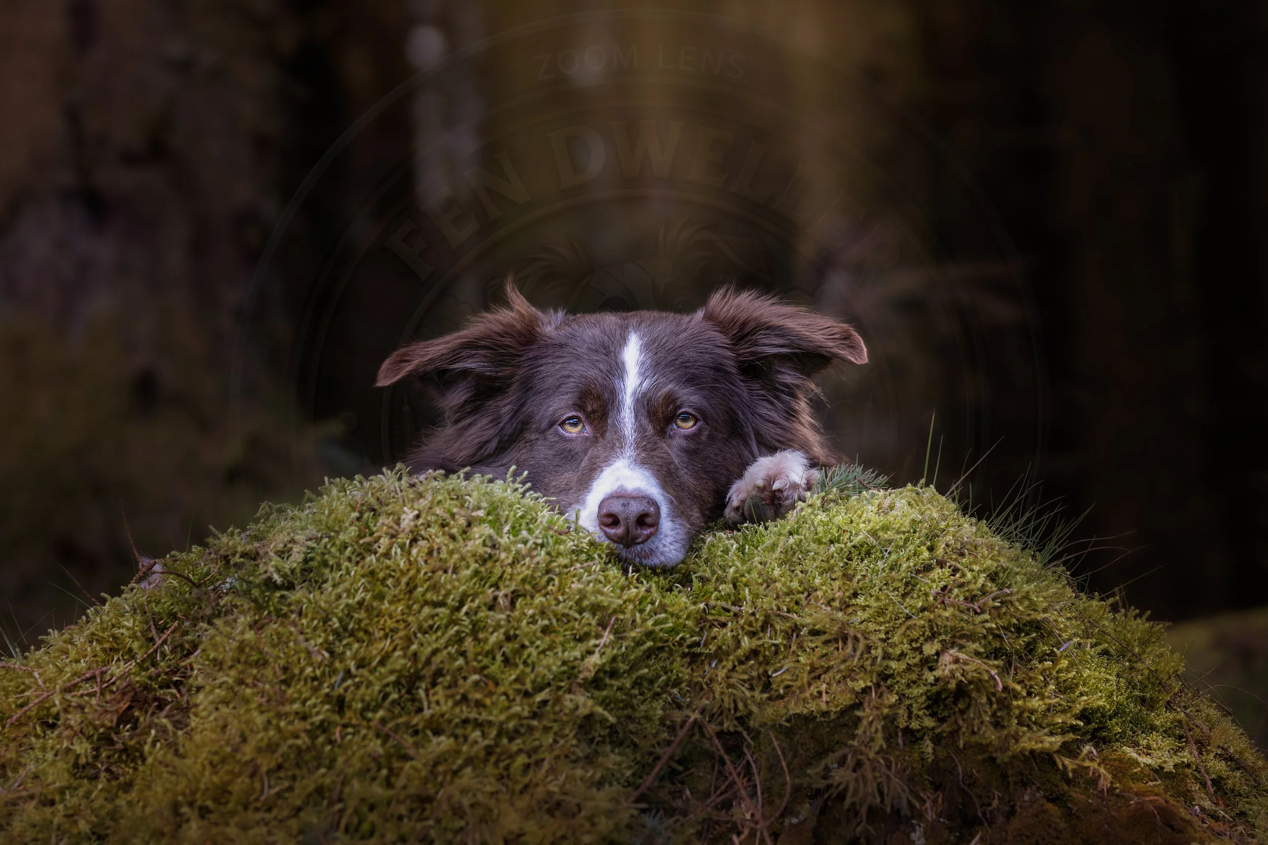 Moss.jpg