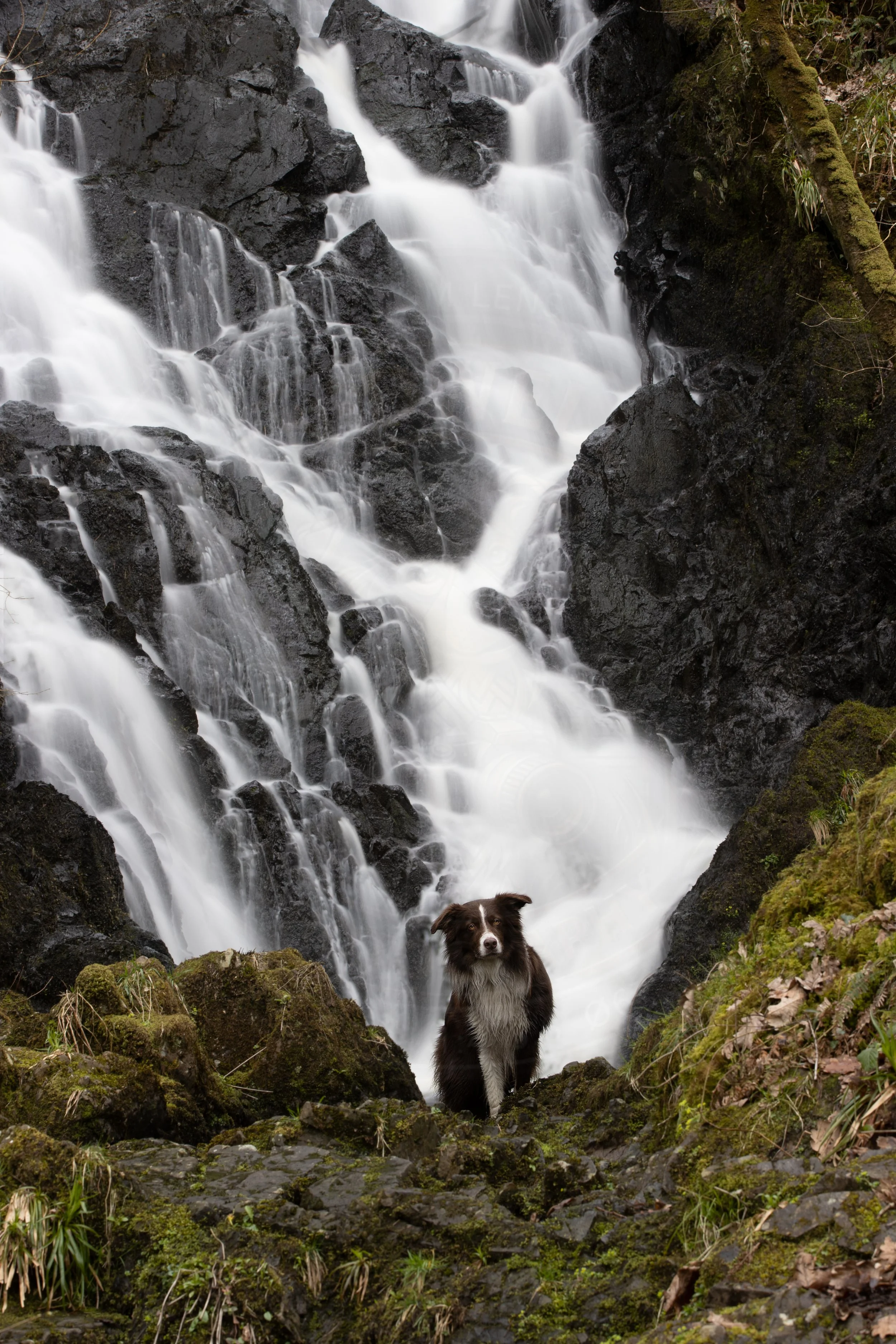 Waterfall