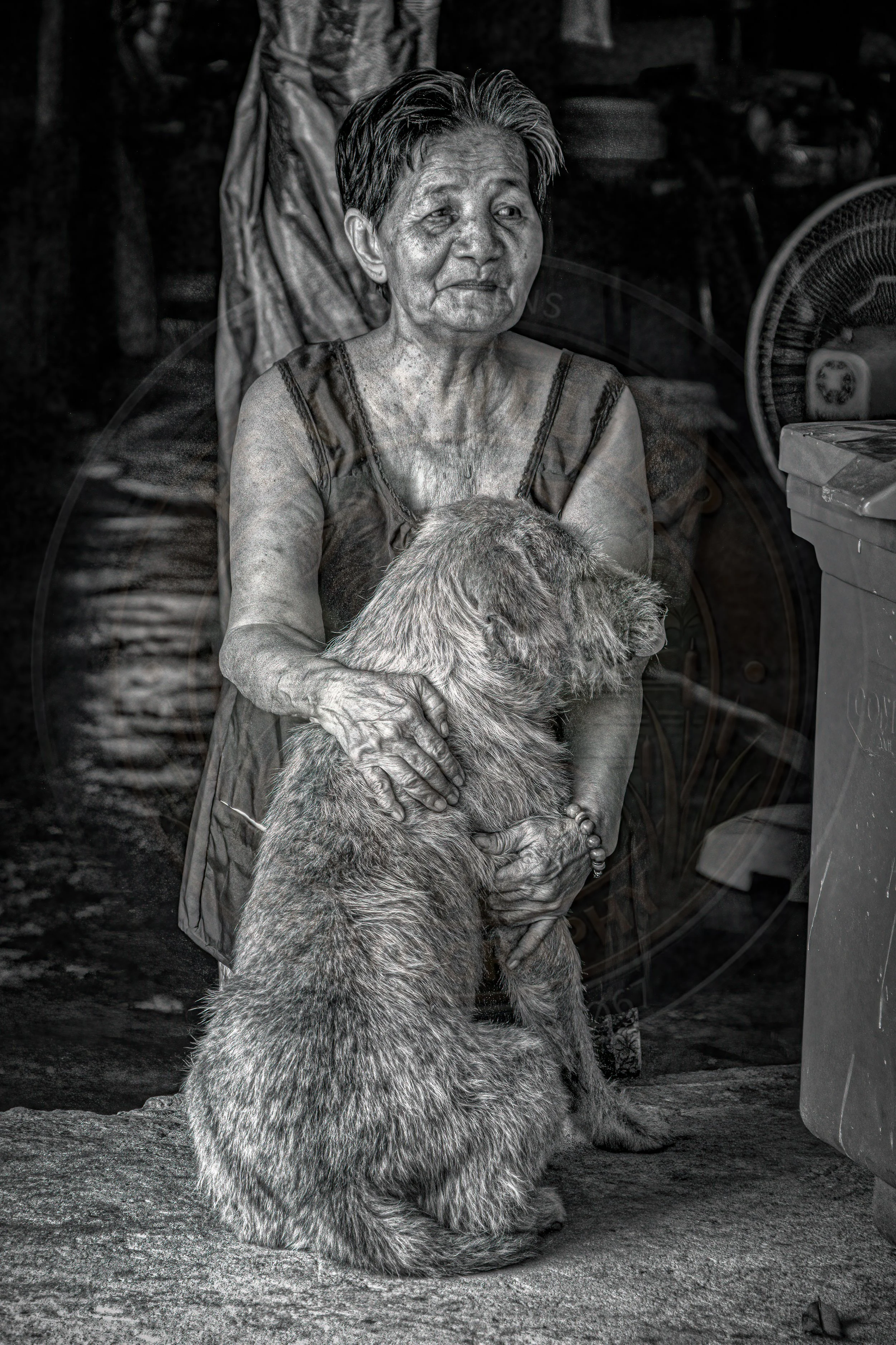 20180712-VI7A3539-Edit-2-Edit-Edit.jpg
