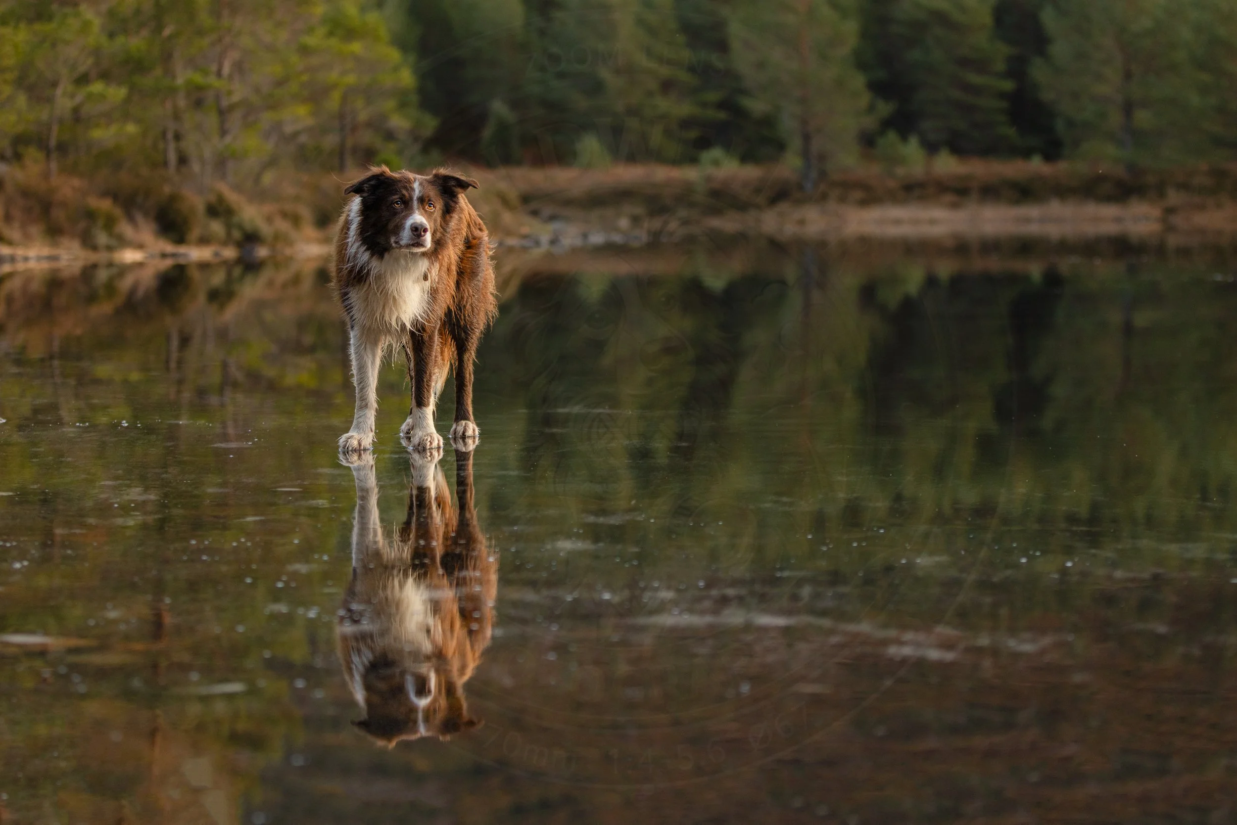 Walk on Water