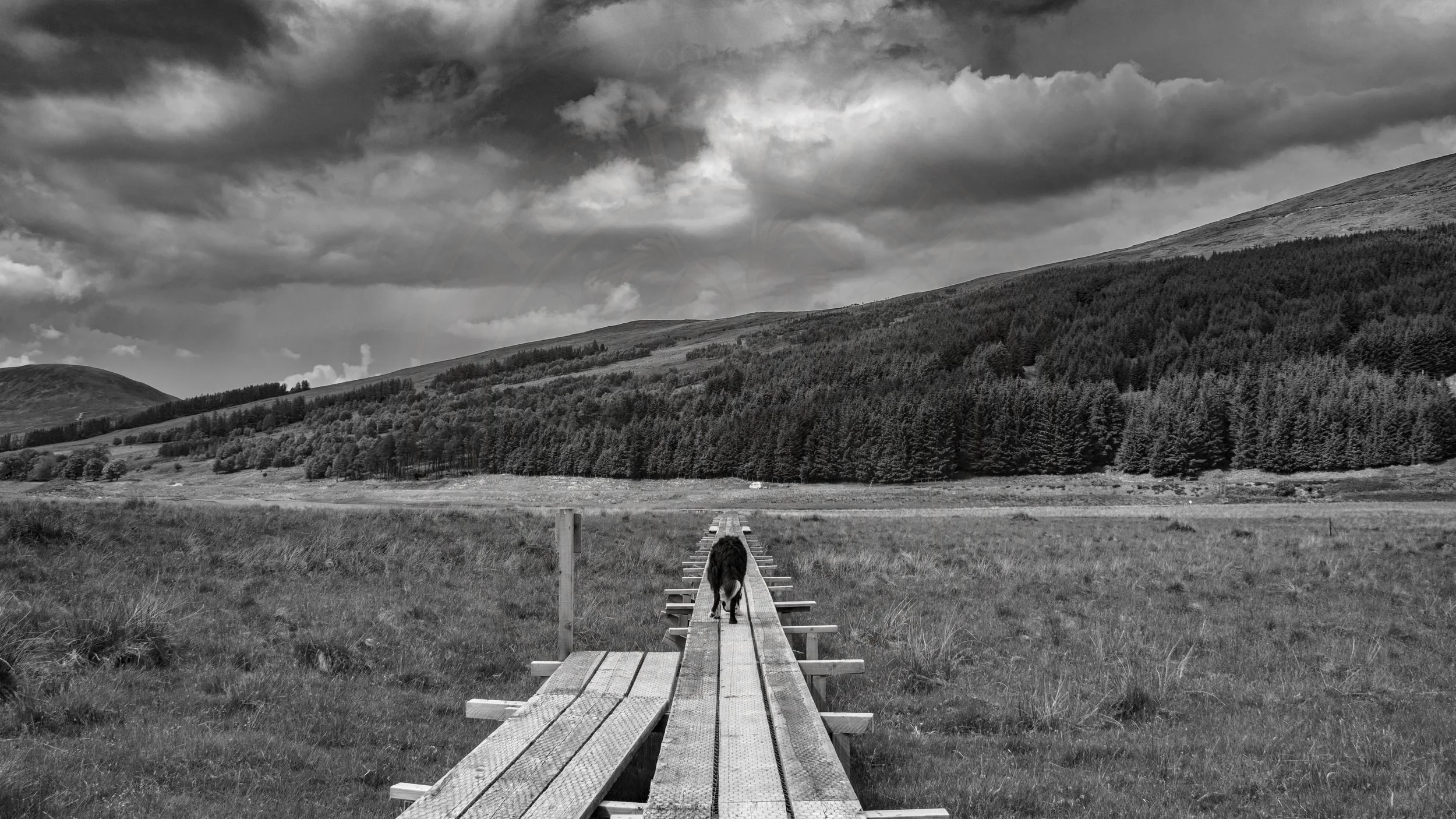 Boardwalk