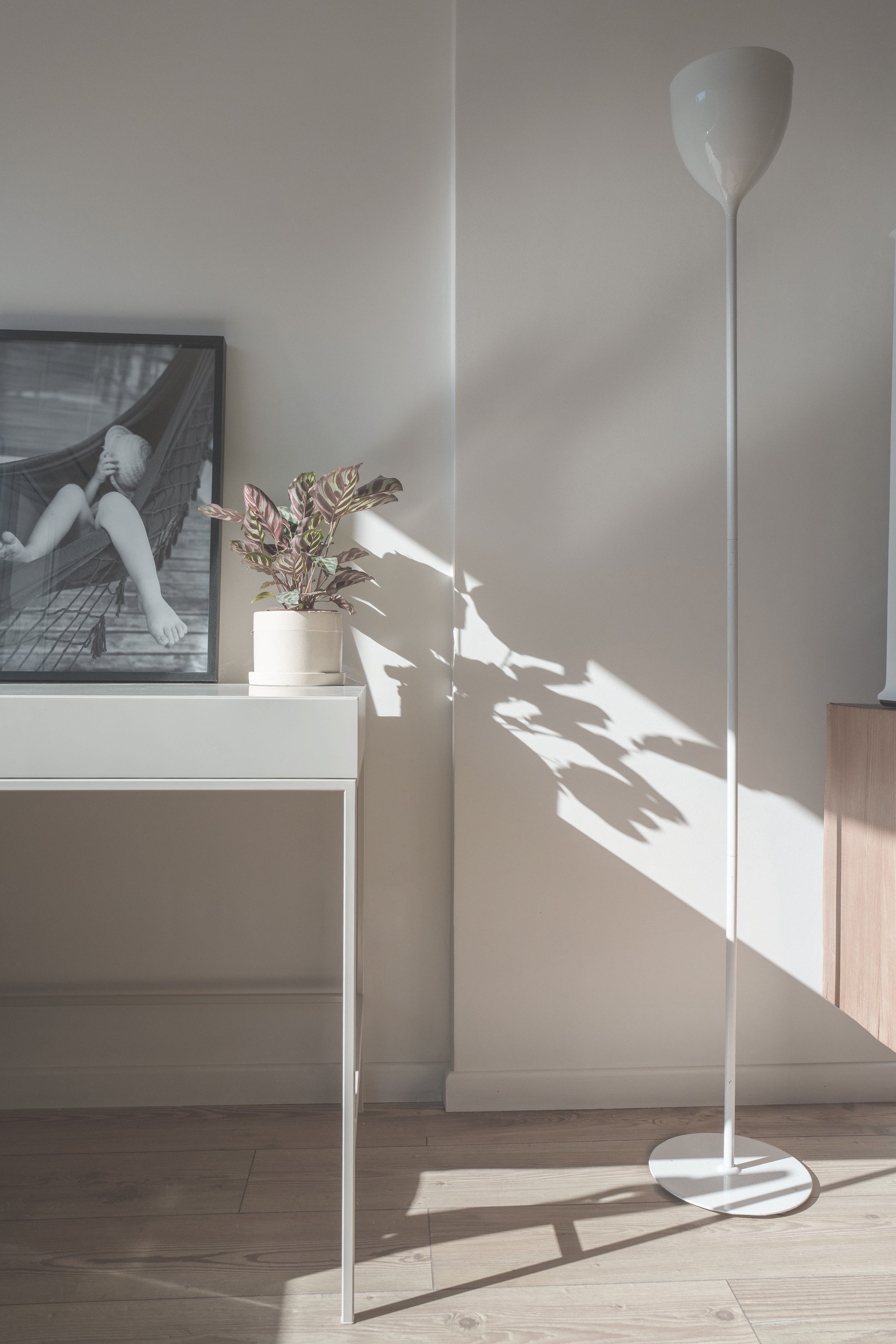 Sombra de árbol proyectada sobre pared color beige — detalle de luz natural en proyecto de arquitectura