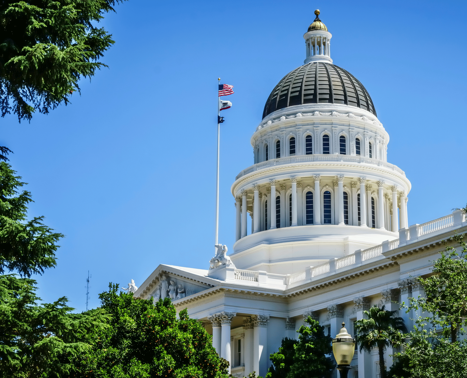 Close-up of the California state capitol building with a blue sky background and some green trees in the foreground.