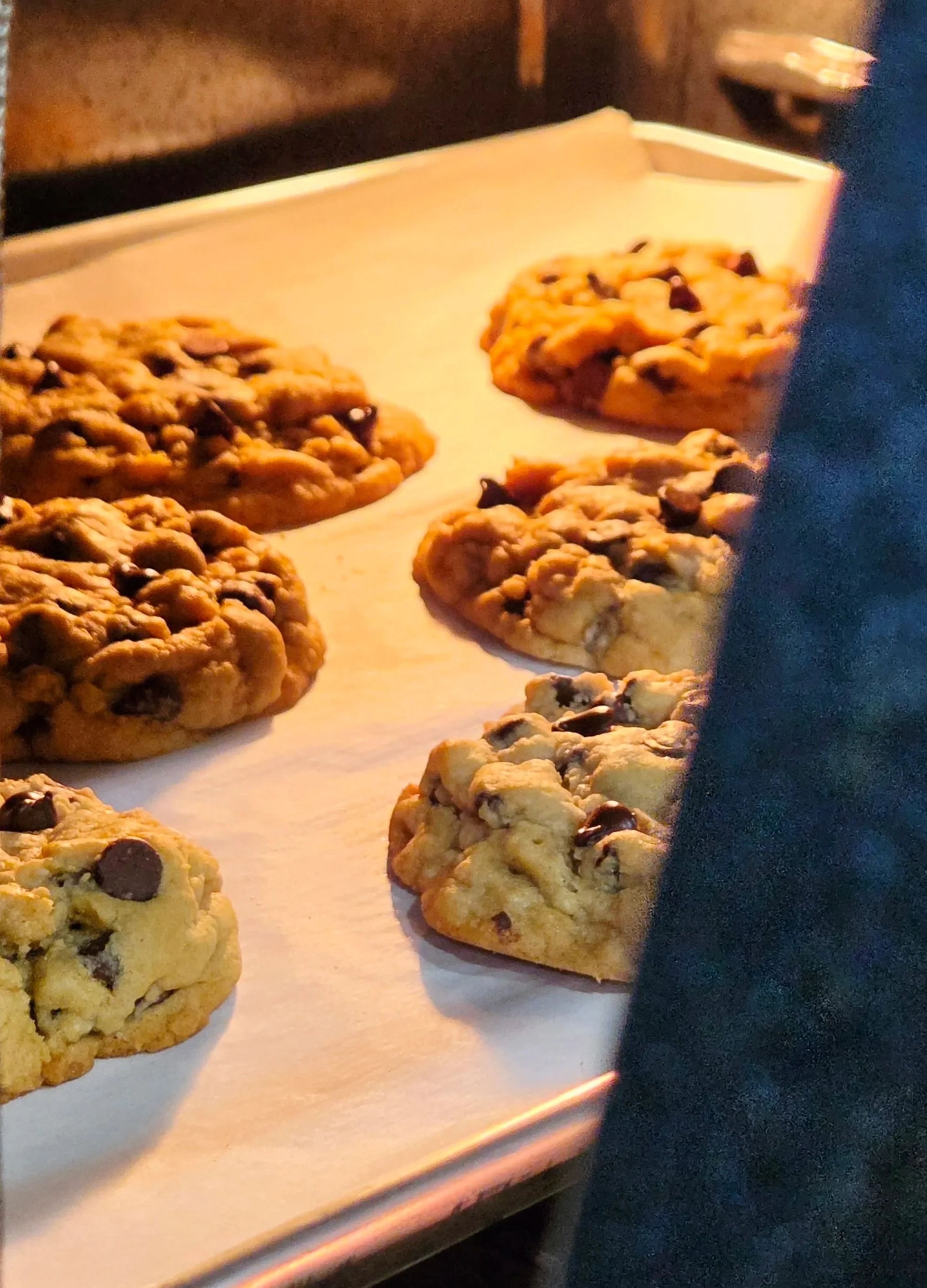 Close-up of chocolate chip cookies on a baking sheet in an oven, with a person partially visible next to it.