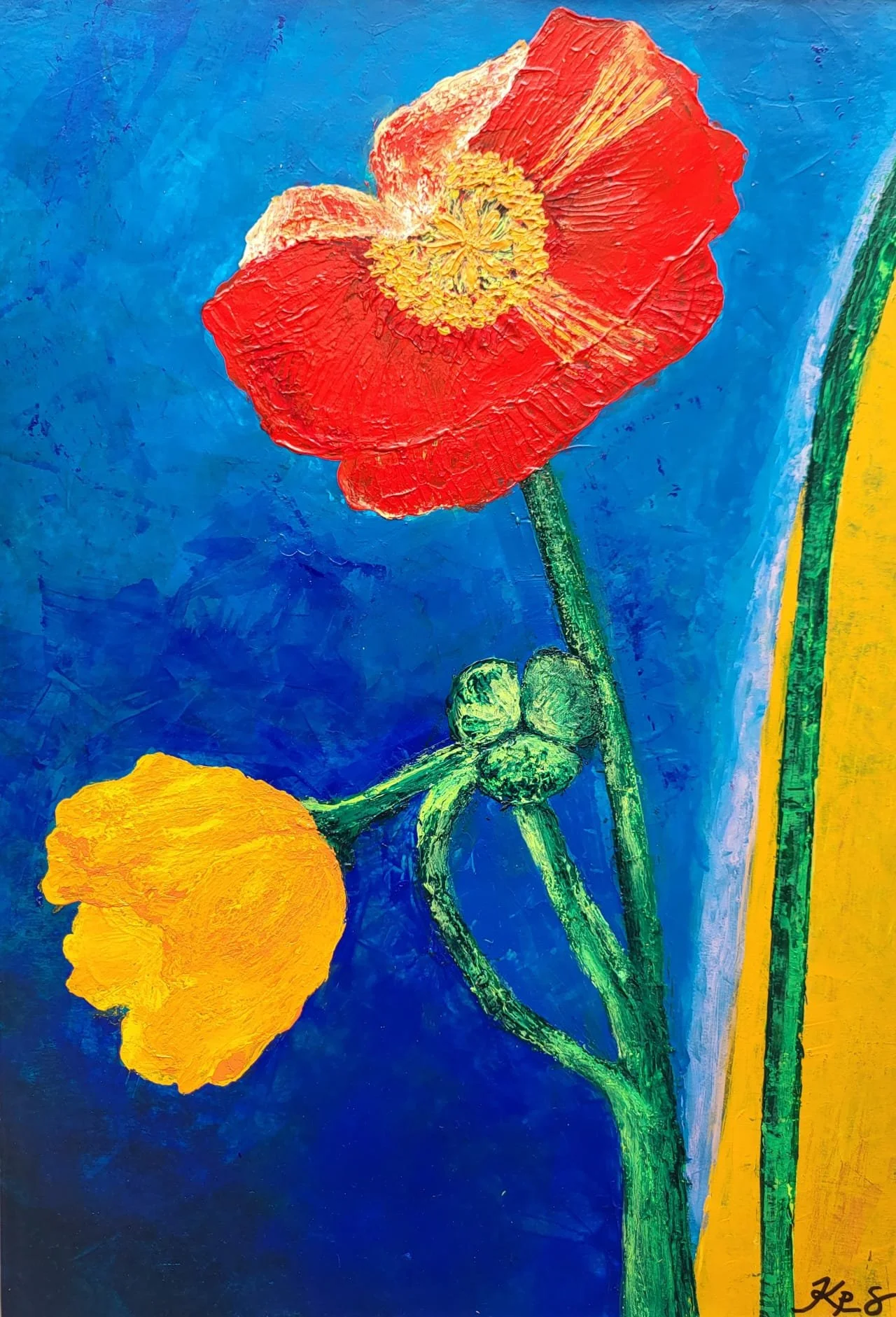 poppies.jpeg