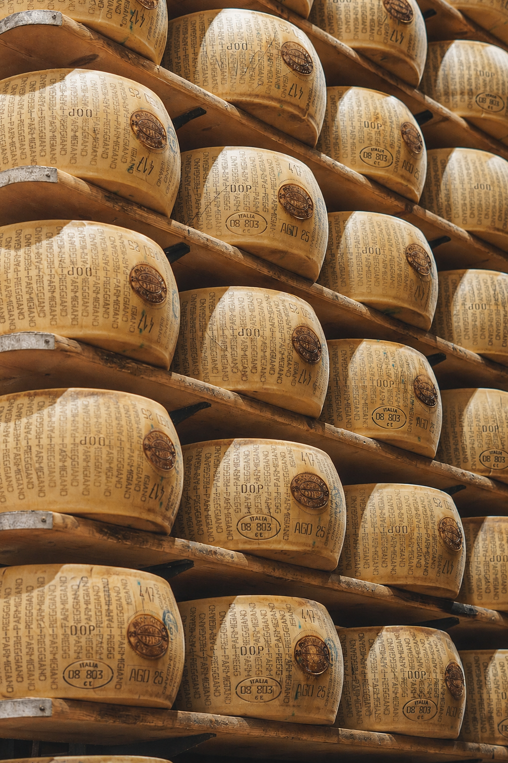 Rows of large wheels of Parmigiano-Reggiano cheese stacked on wooden shelves in a cheese aging room.