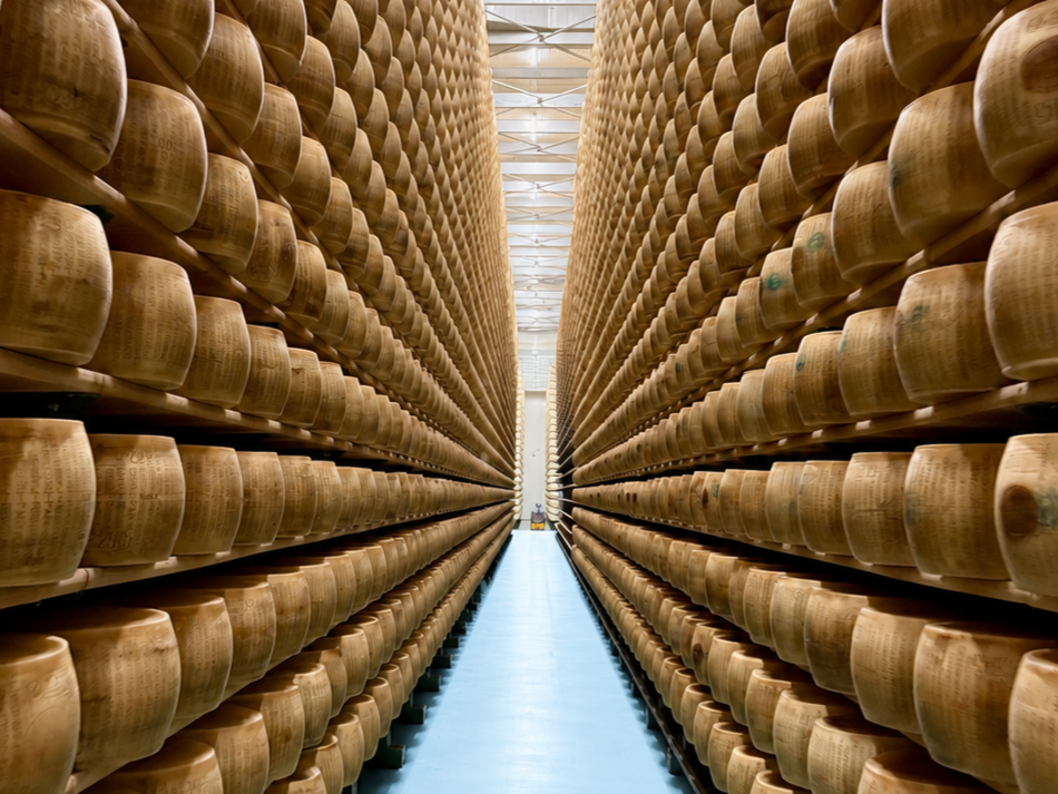 Rows of stacked large wooden cheese wheels in a cheese aging warehouse.