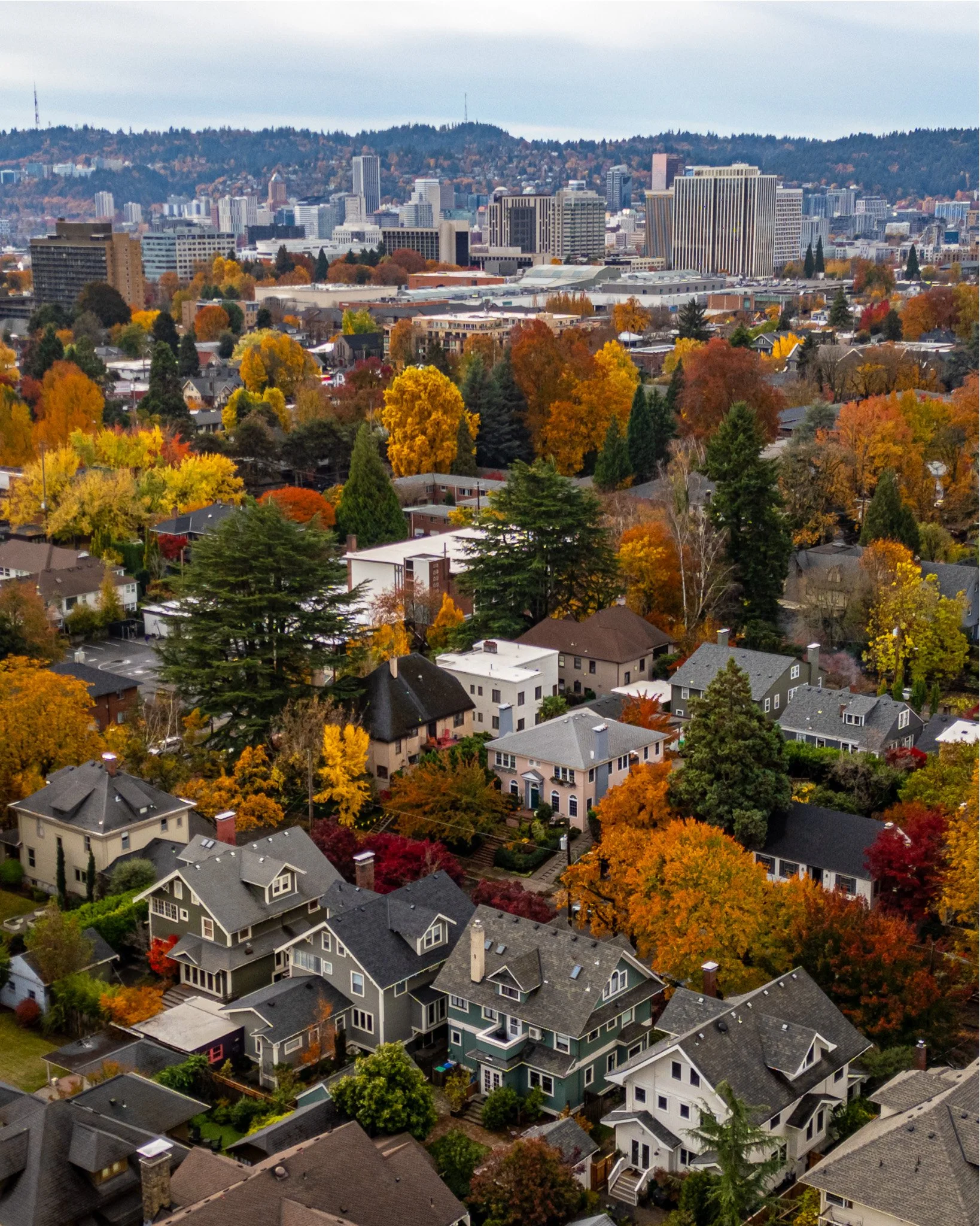 DJI_0225-HDR.jpg