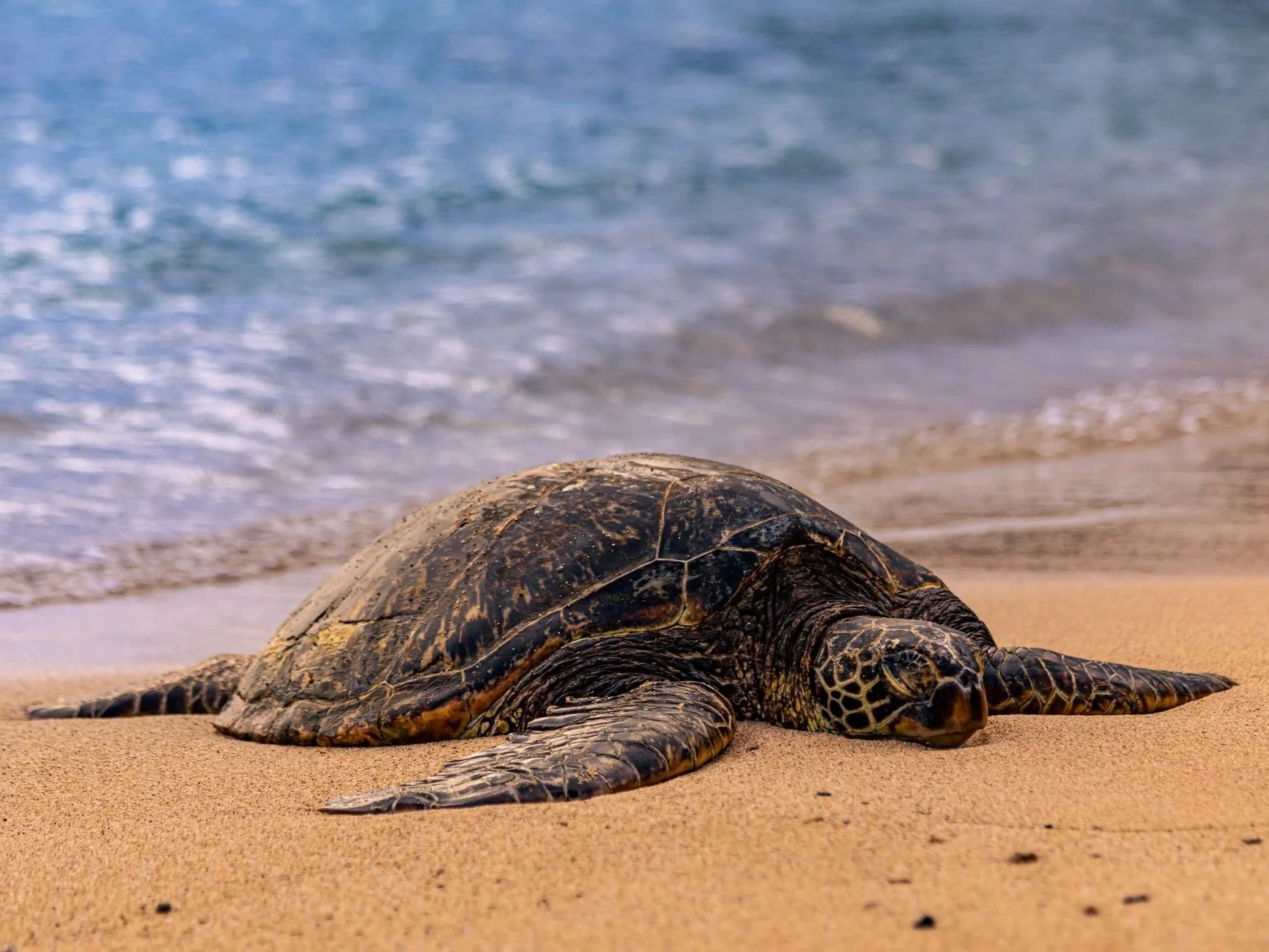 Kauai