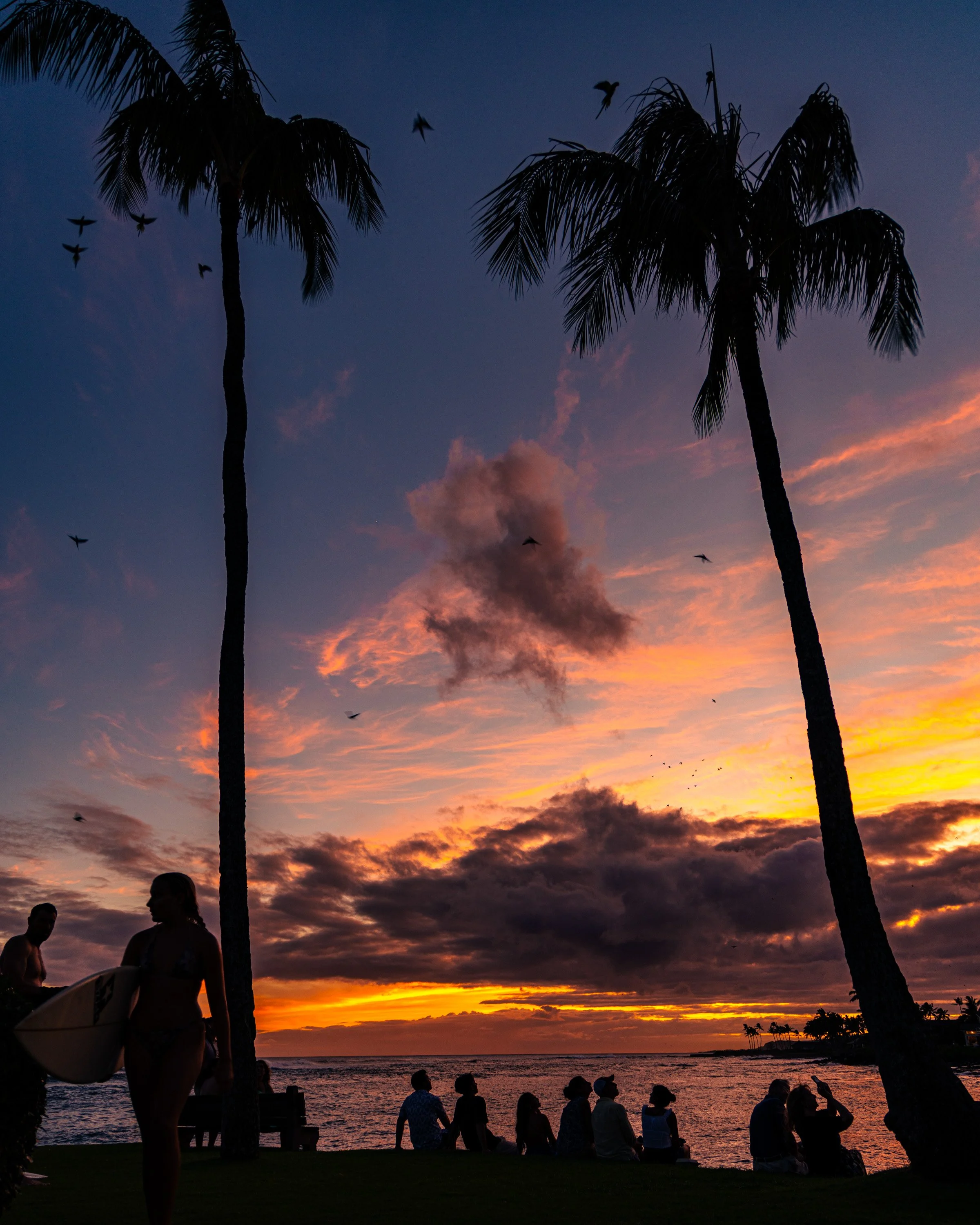 Sunset_8V3A9169.jpg