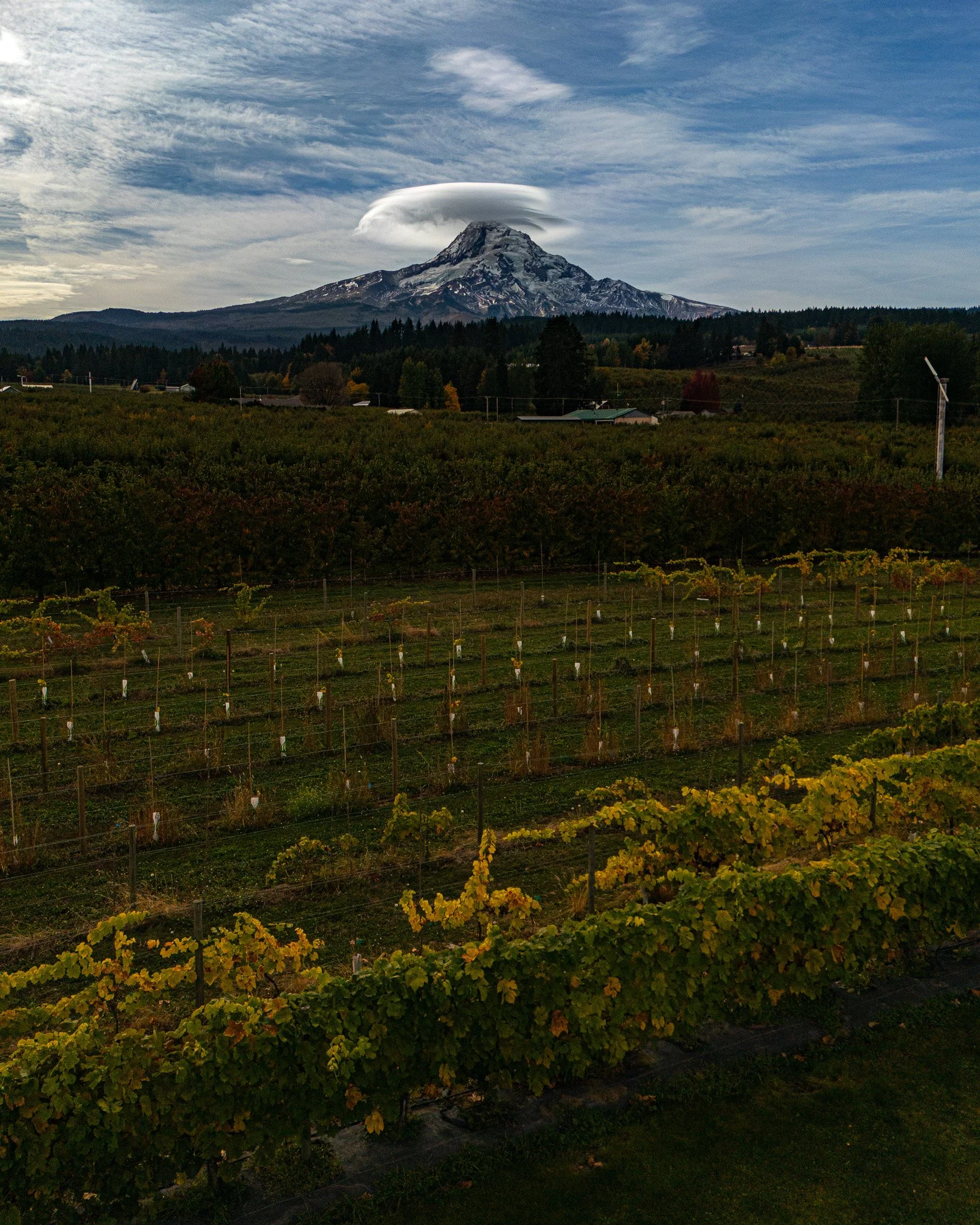 DJI_0837.jpg