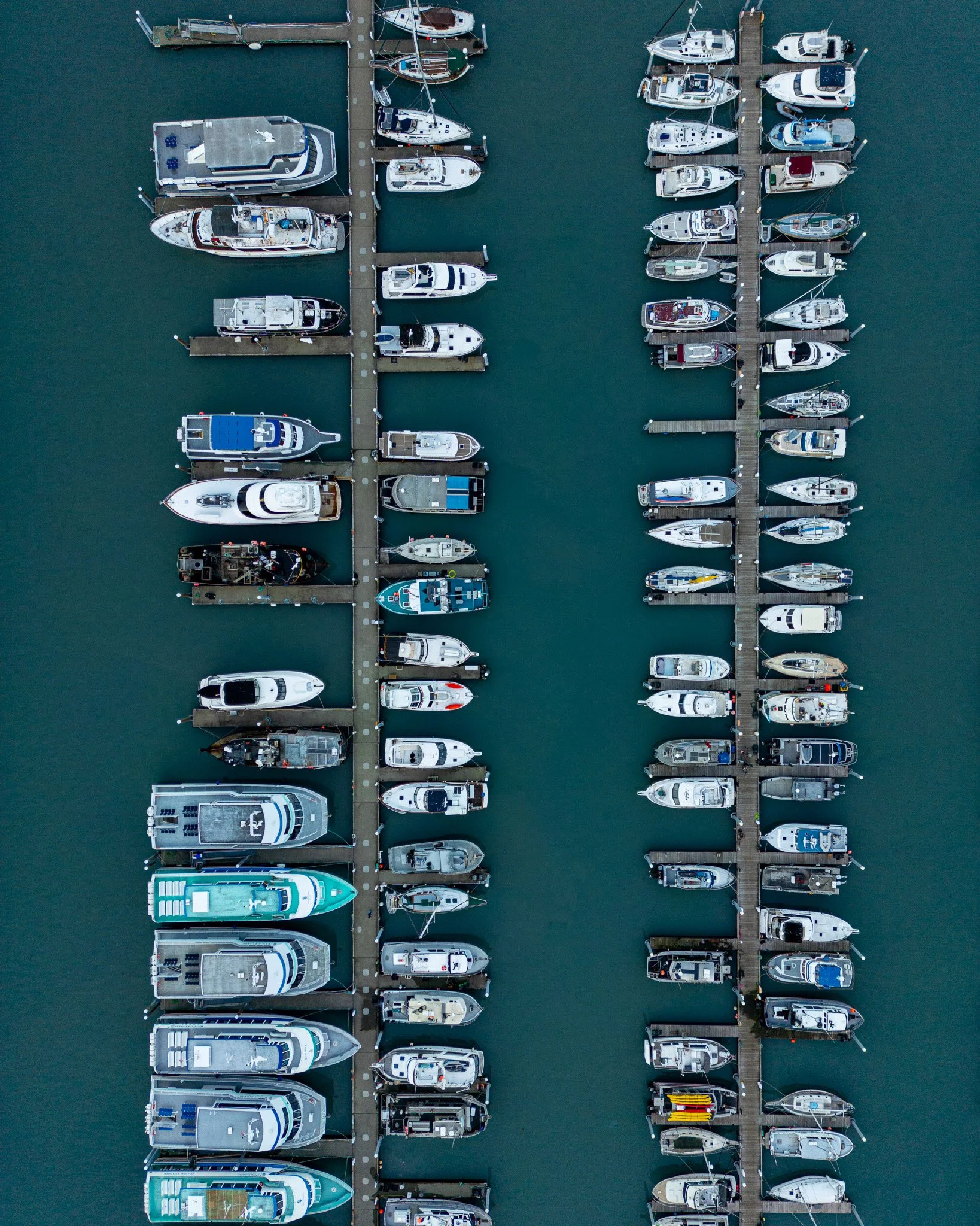 DJI_0984-2.jpg