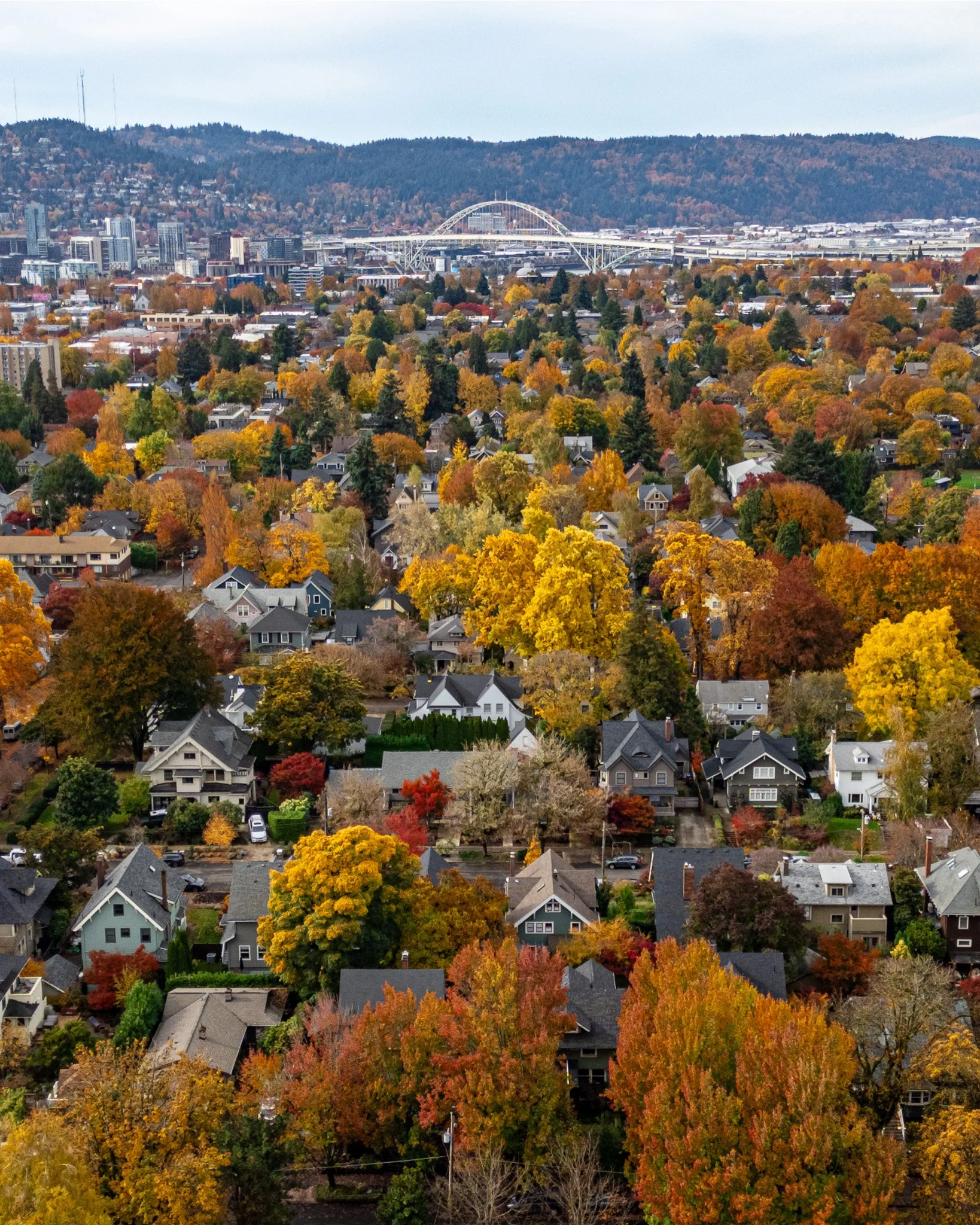 DJI_0237-HDR.jpg