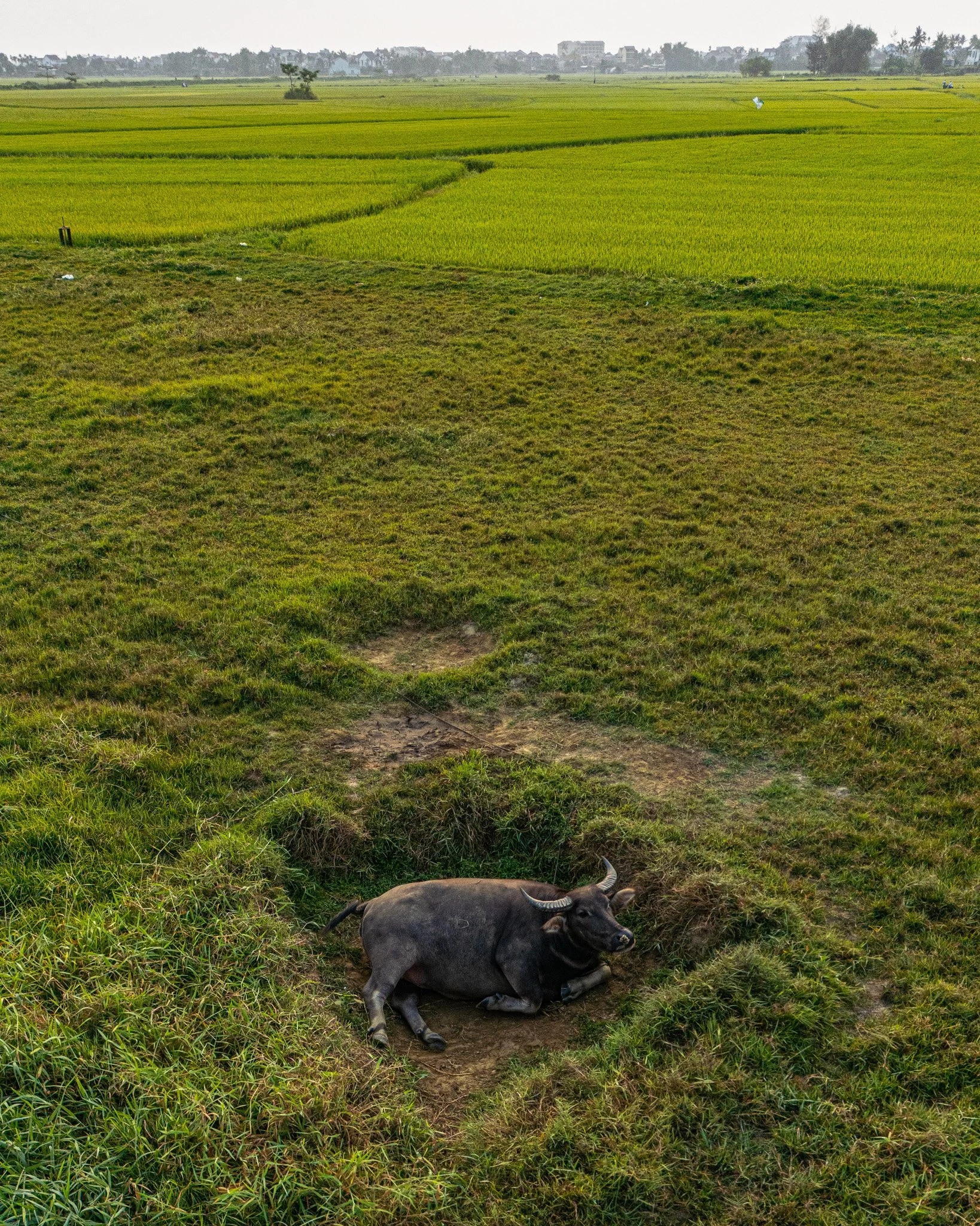 DJI_0003.jpg