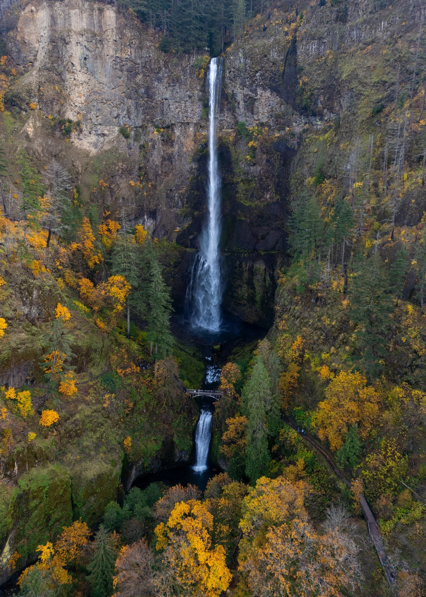 DJI_0886.jpg