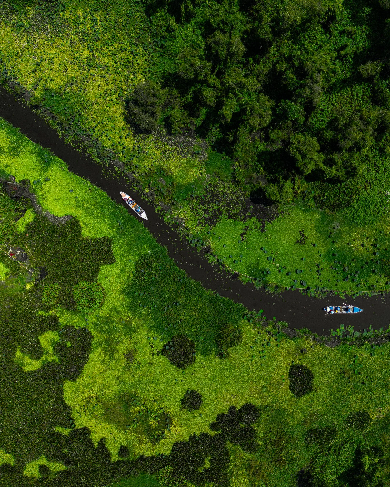 DJI_0108-2.jpg