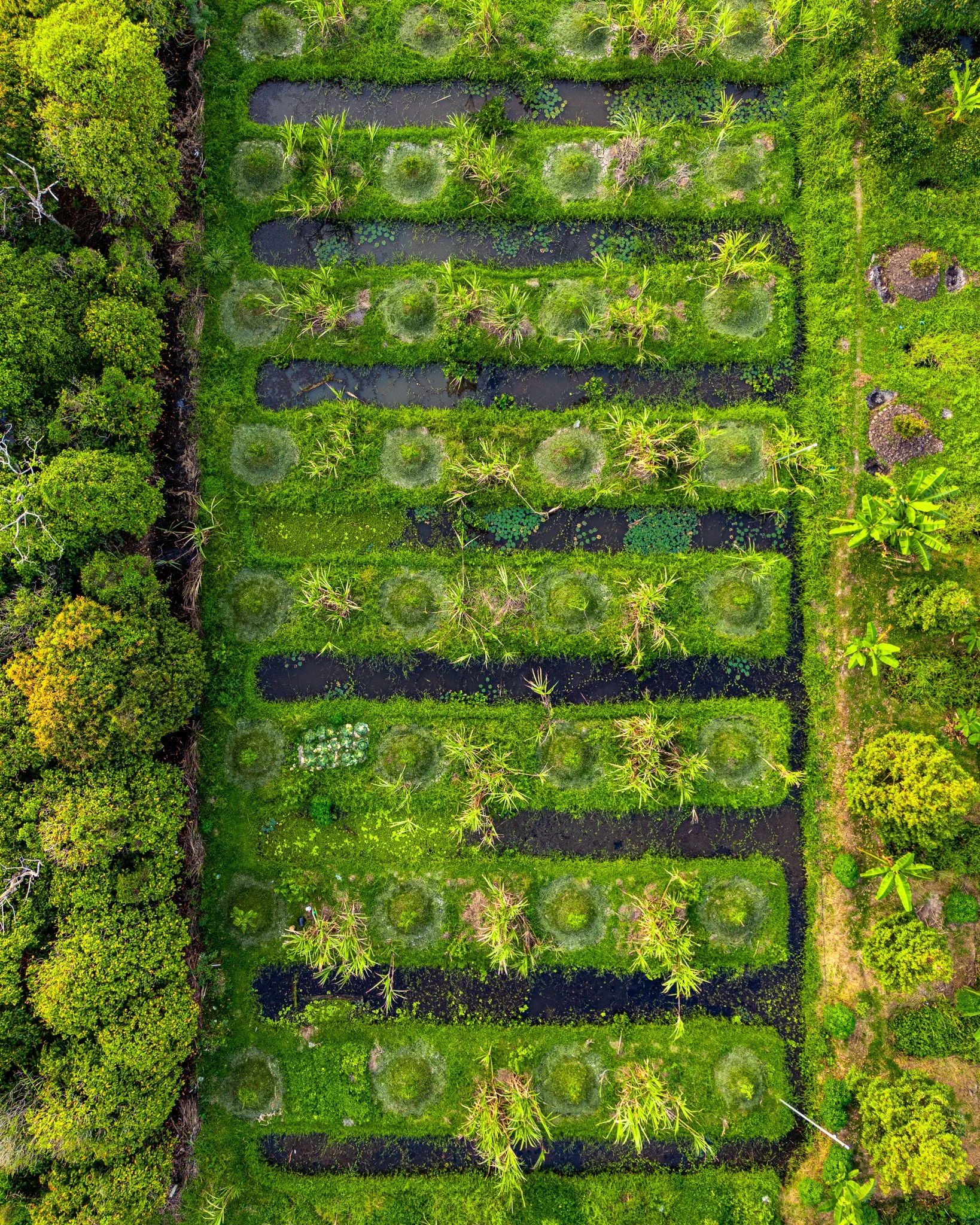 DJI_0043.jpg