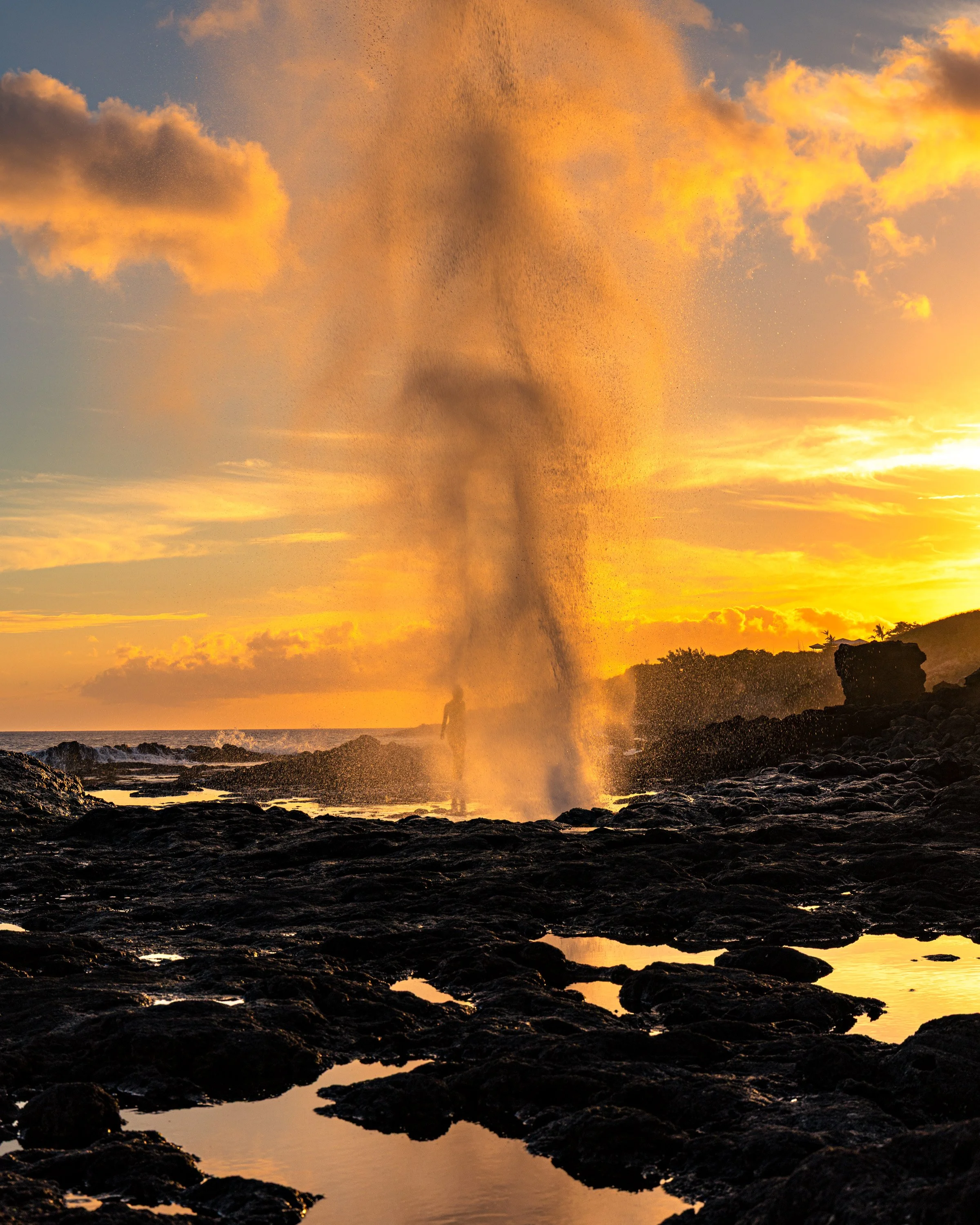 Spouting_8V3A7926.jpg