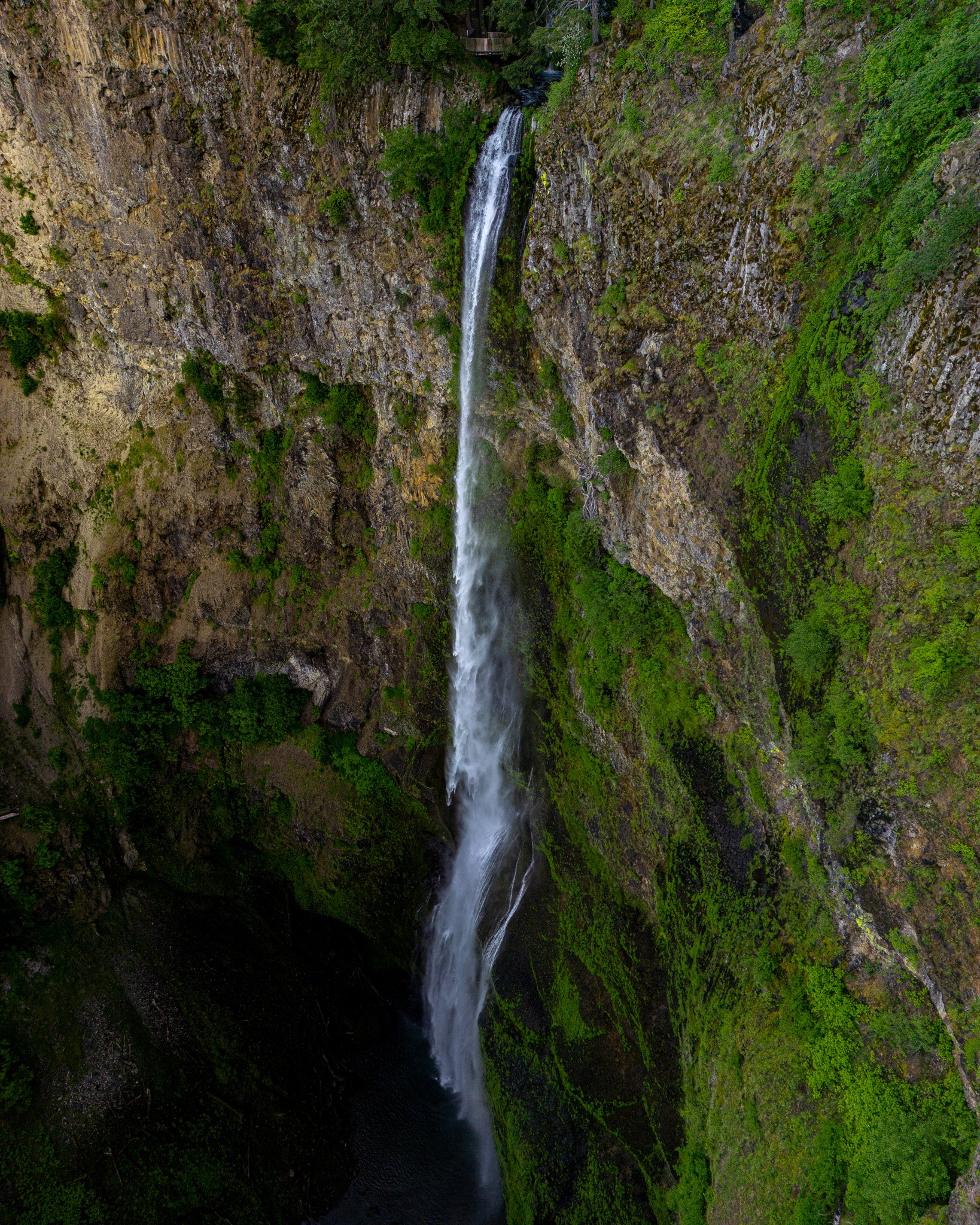 DJI_0727.jpg
