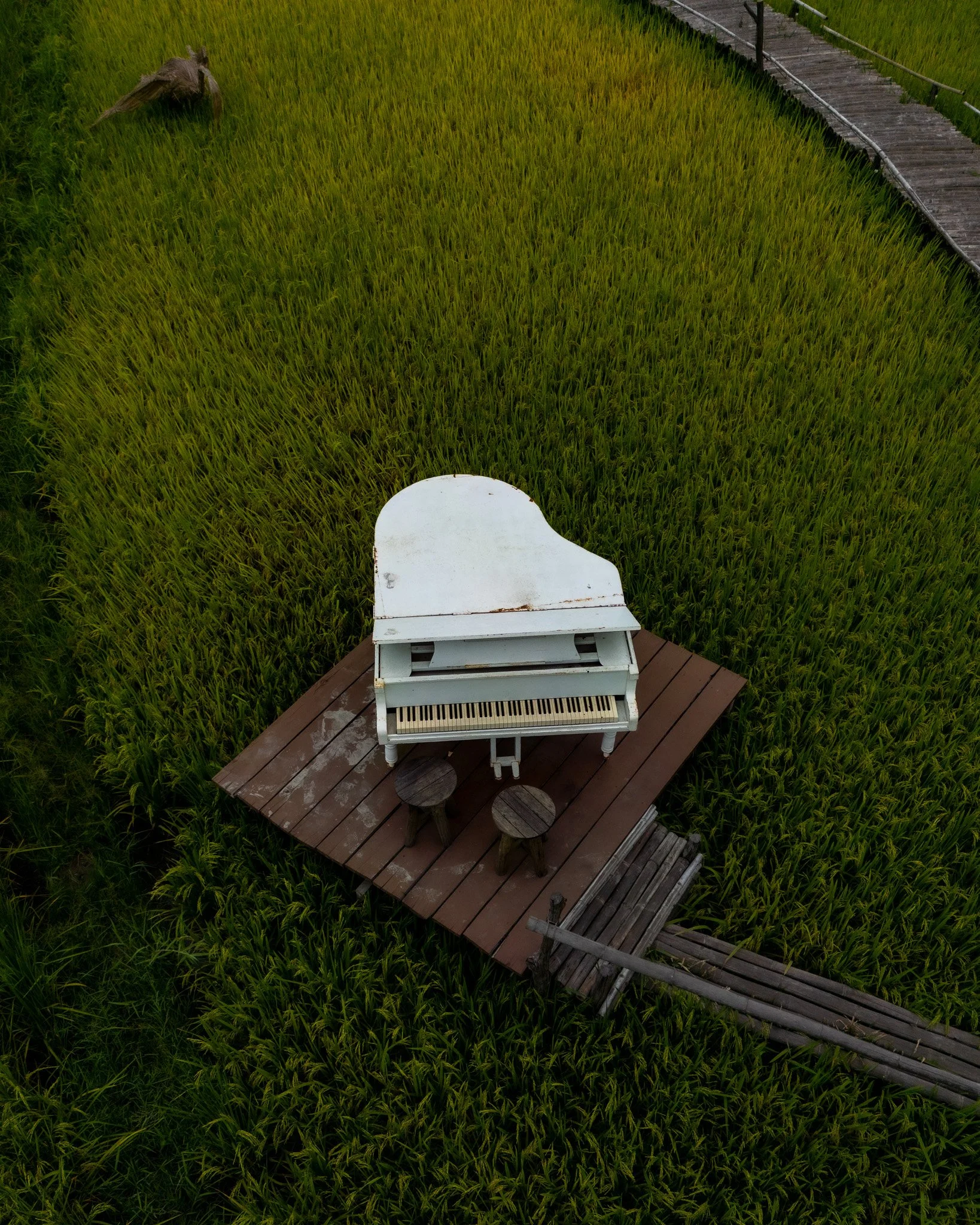 DJI_0220.jpg