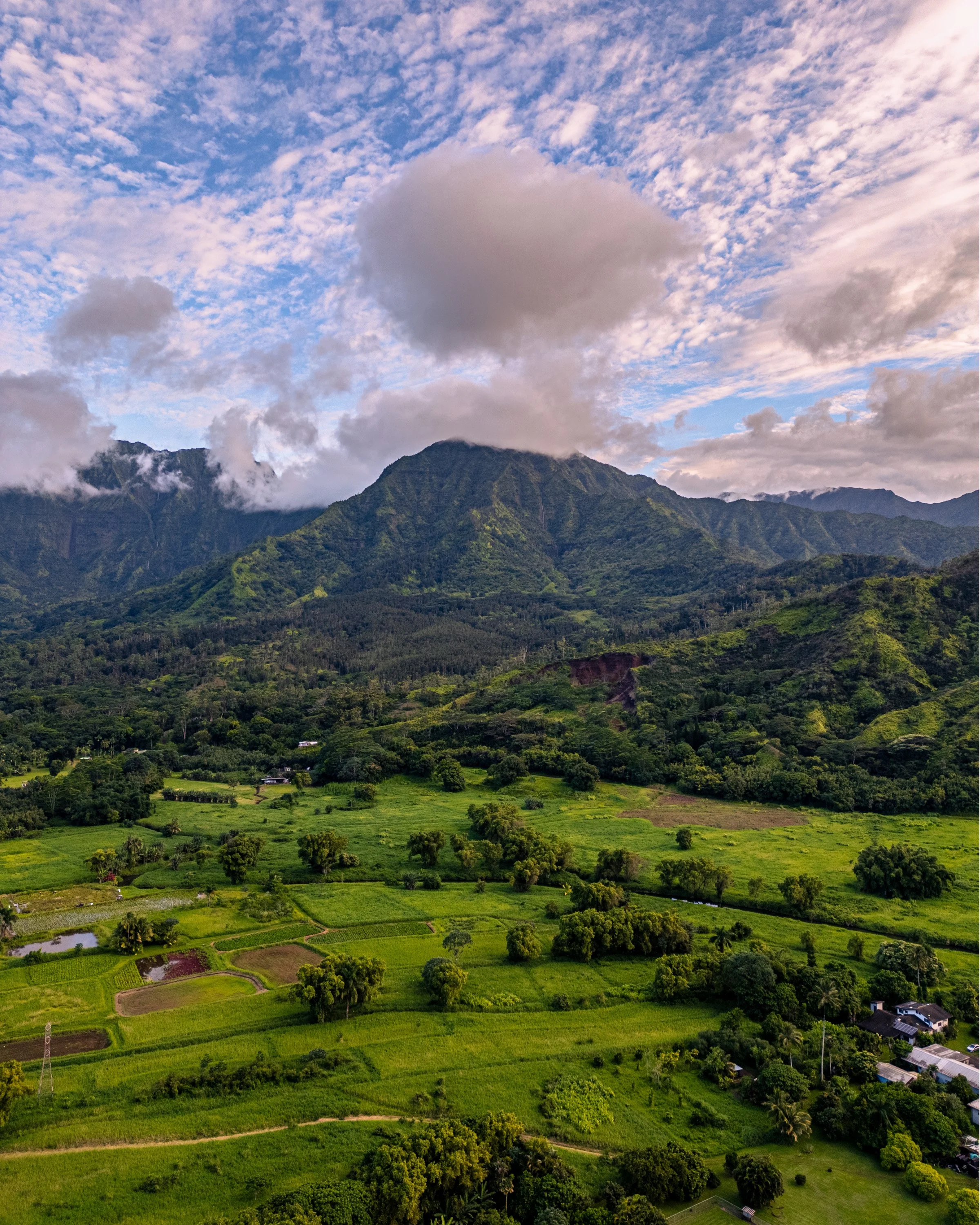 DJI_0341-HDR.jpg