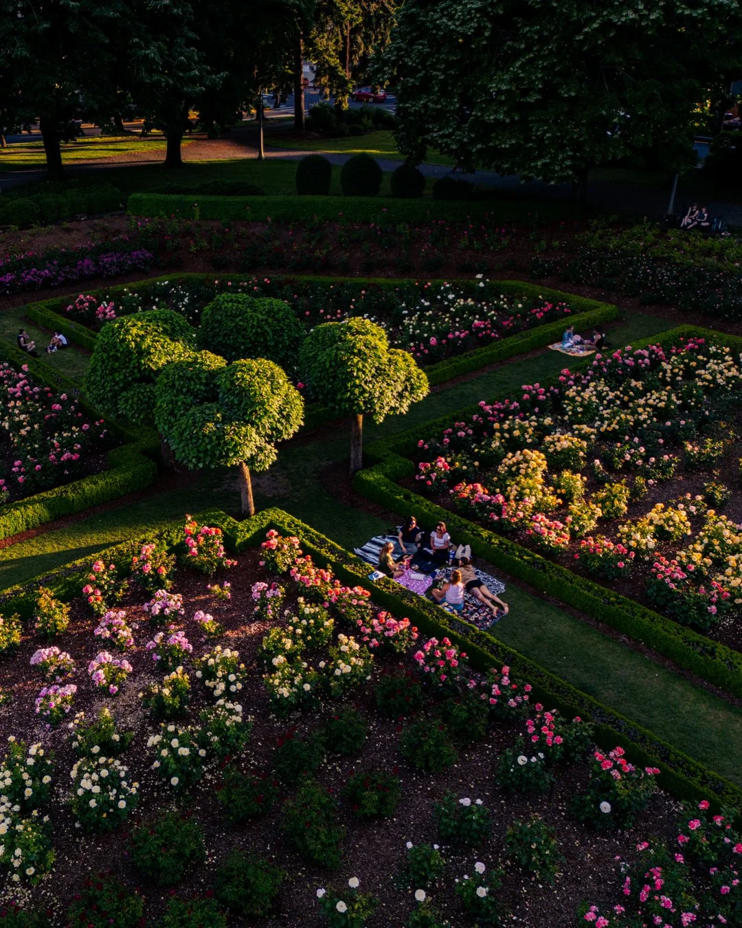 DJI_0067.jpg