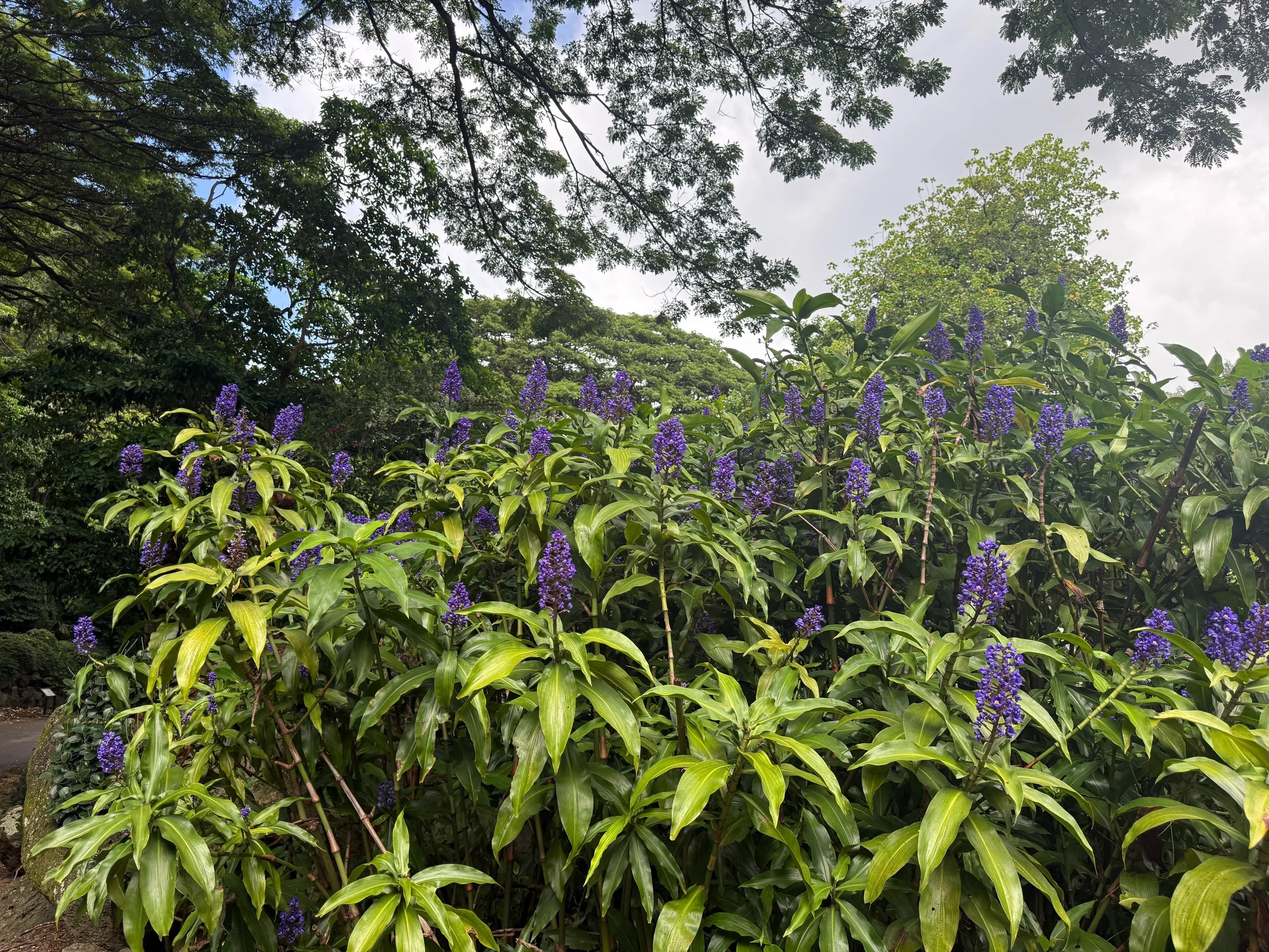 IMG_3912.jpeg