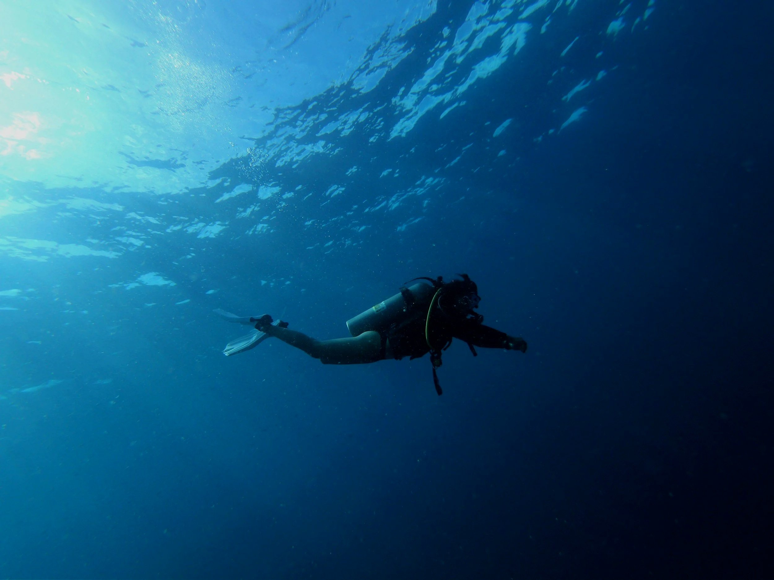 Scuba Certification