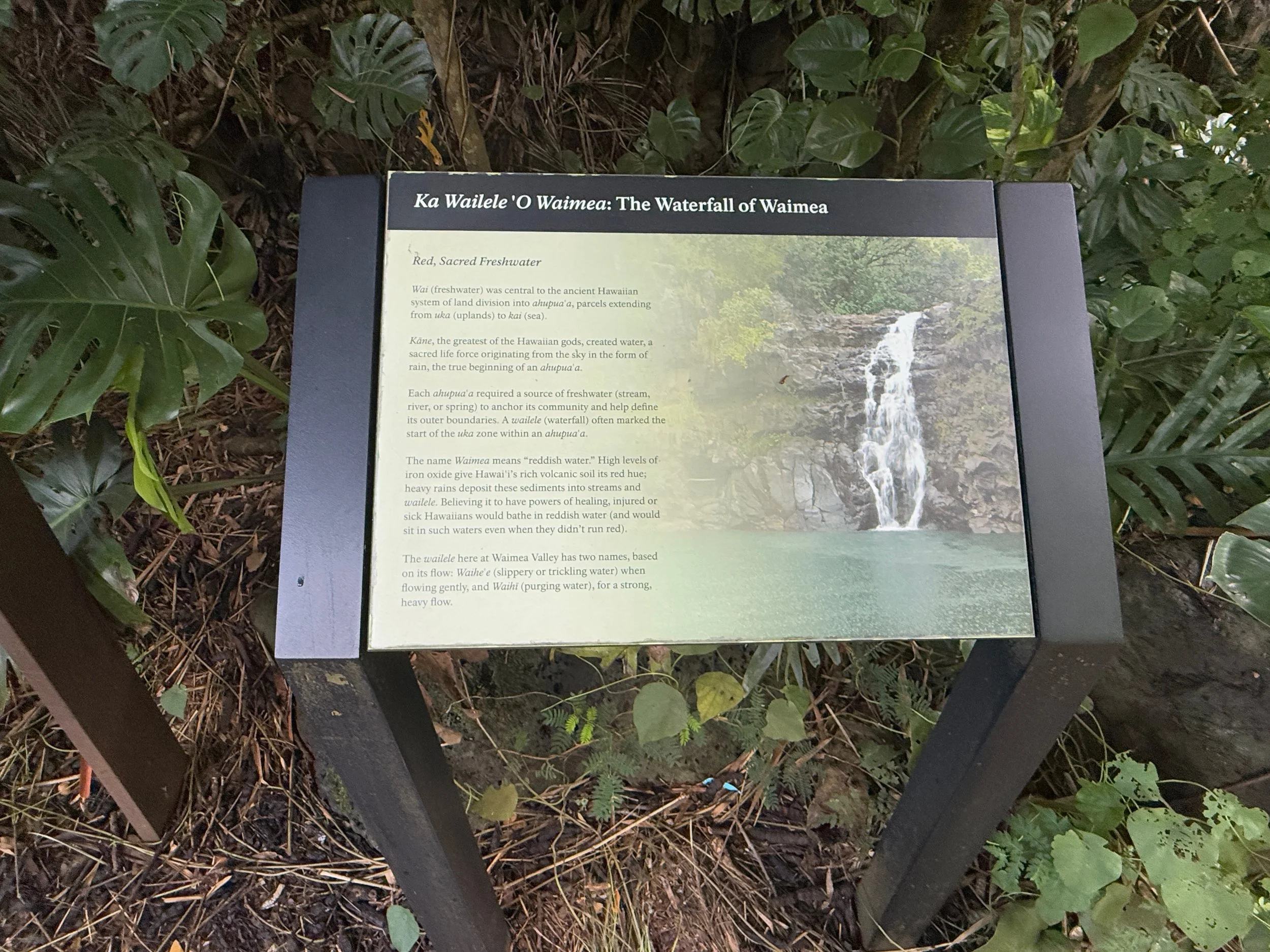 IMG_3847.jpeg